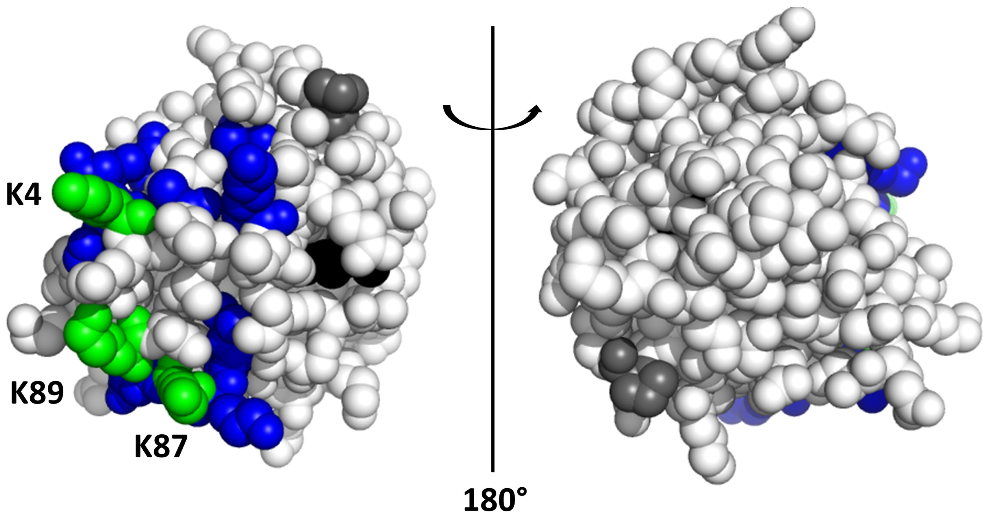 Ijms 23 15391 g003 Ijms 23 15391 g003