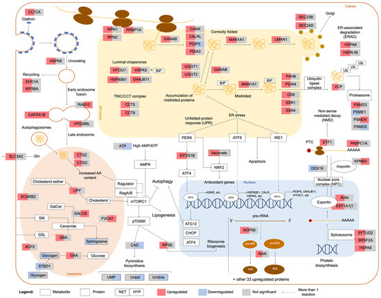 サンプル Gilthead Seabream Liver Integrative Proteomics and Metabolomics