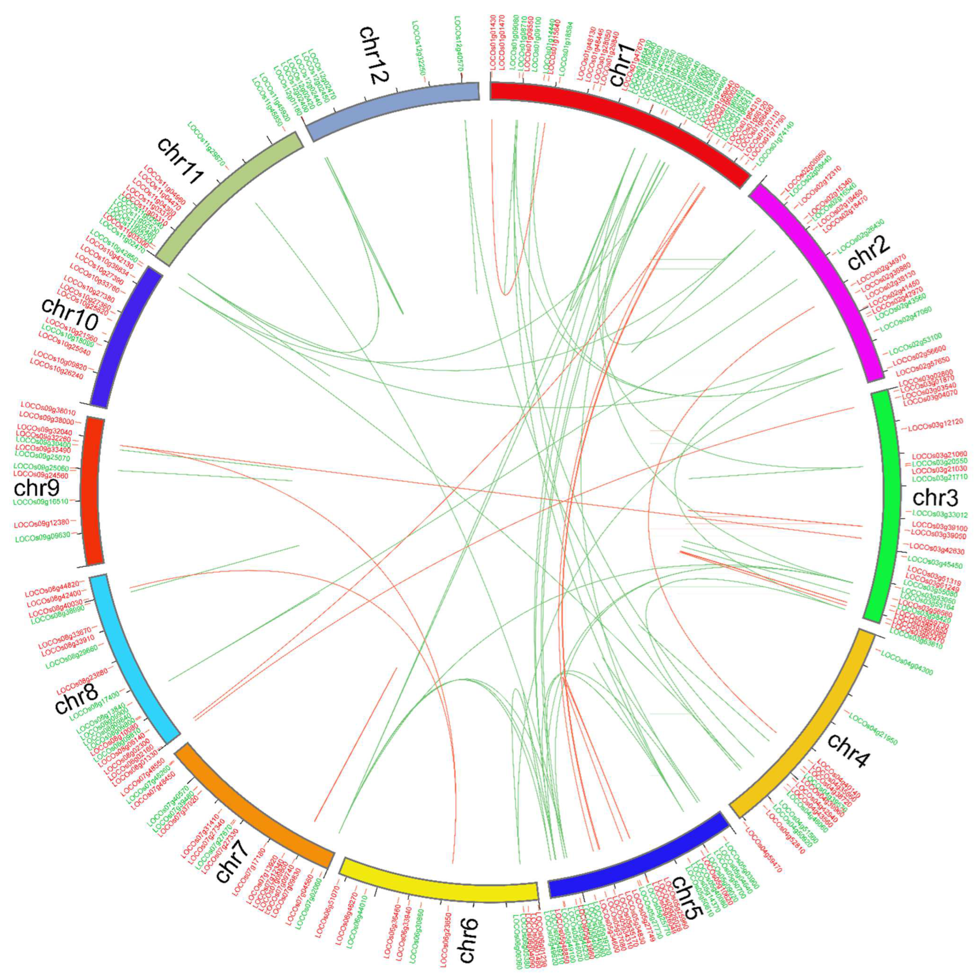 Genome and Transcriptome-Wide Analysis of OsWRKY and OsNAC