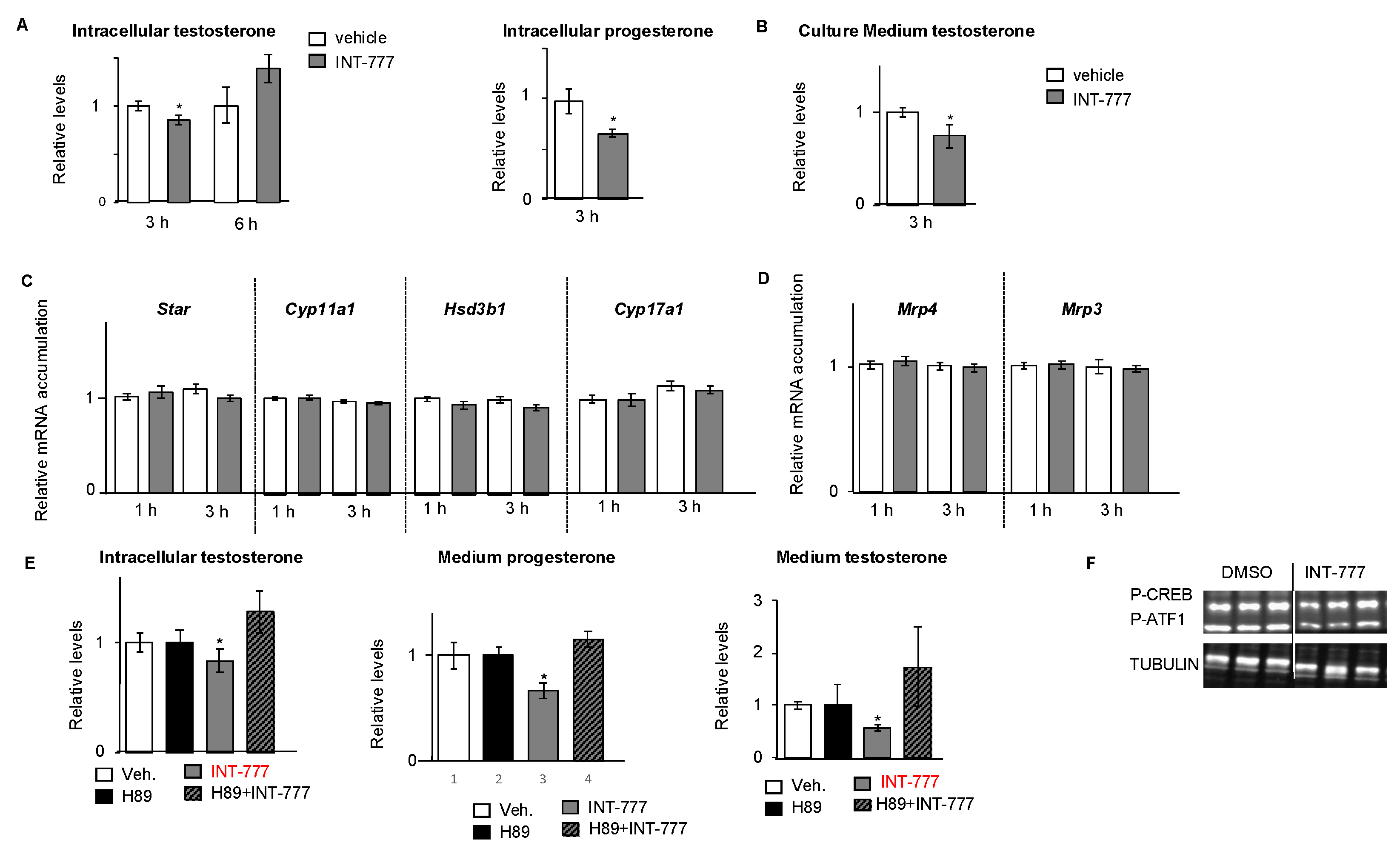 Ijms 23 15398 g002 Ijms 23 15398 g002