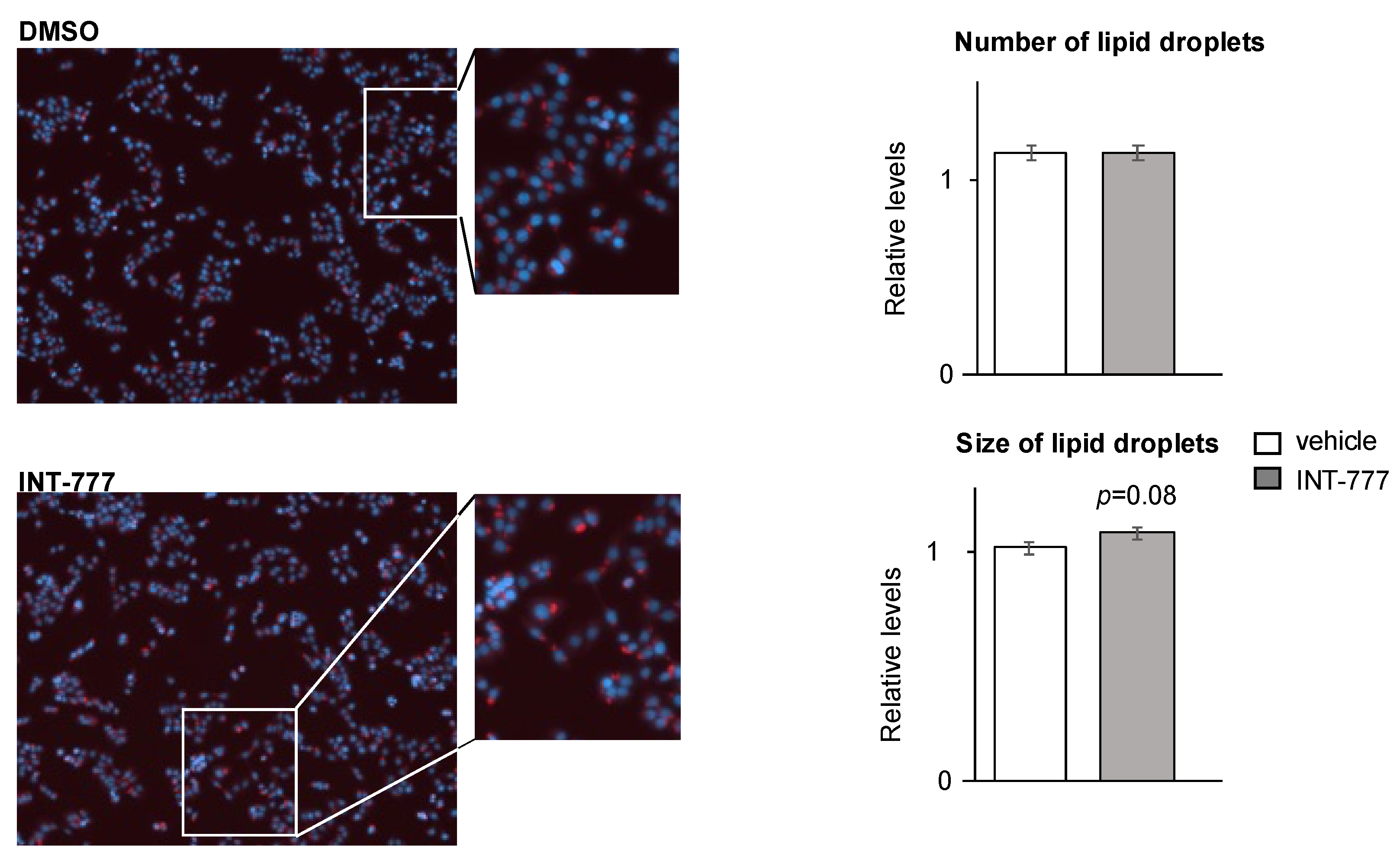 Ijms 23 15398 g005 Ijms 23 15398 g005