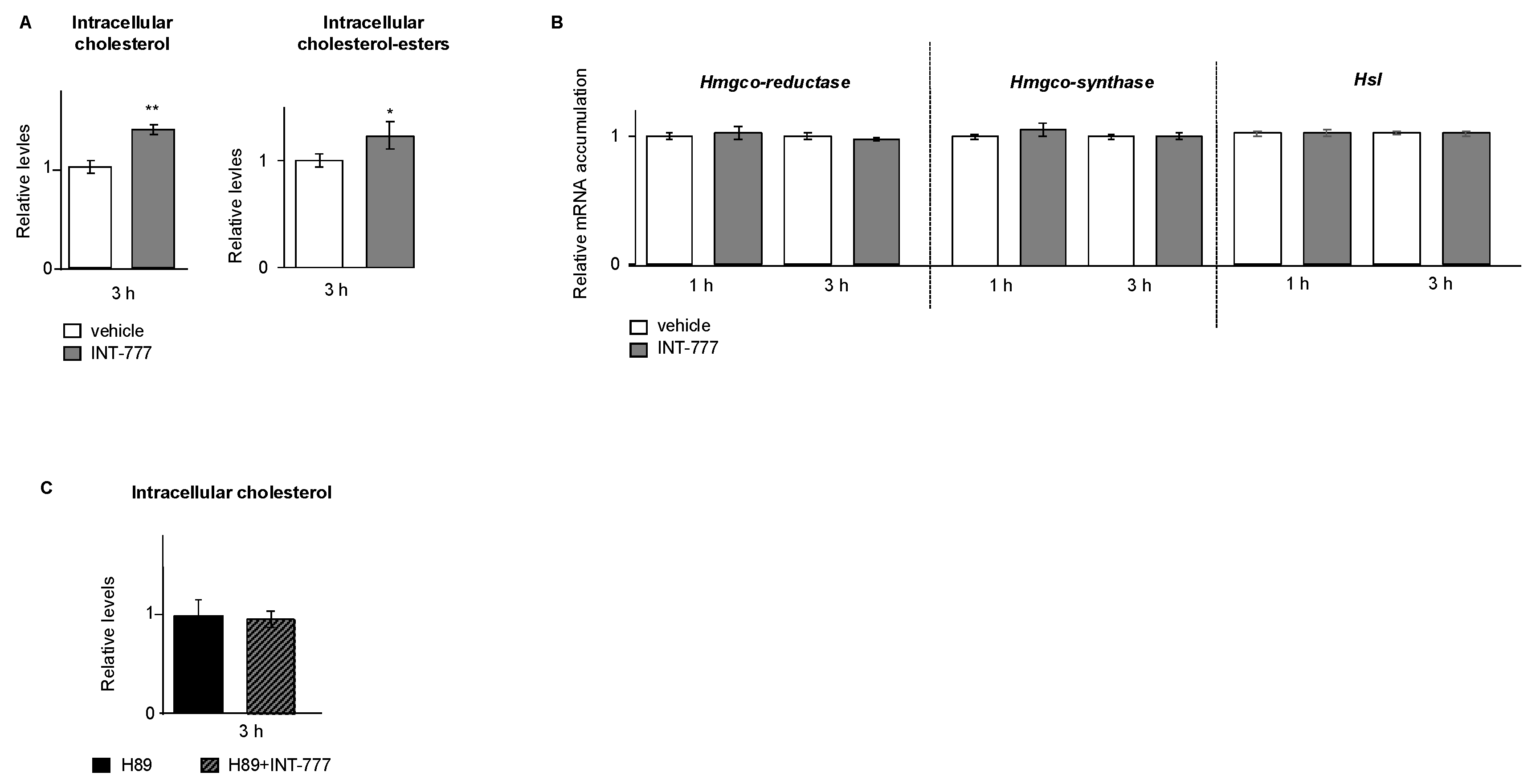 Ijms 23 15398 g007 Ijms 23 15398 g007