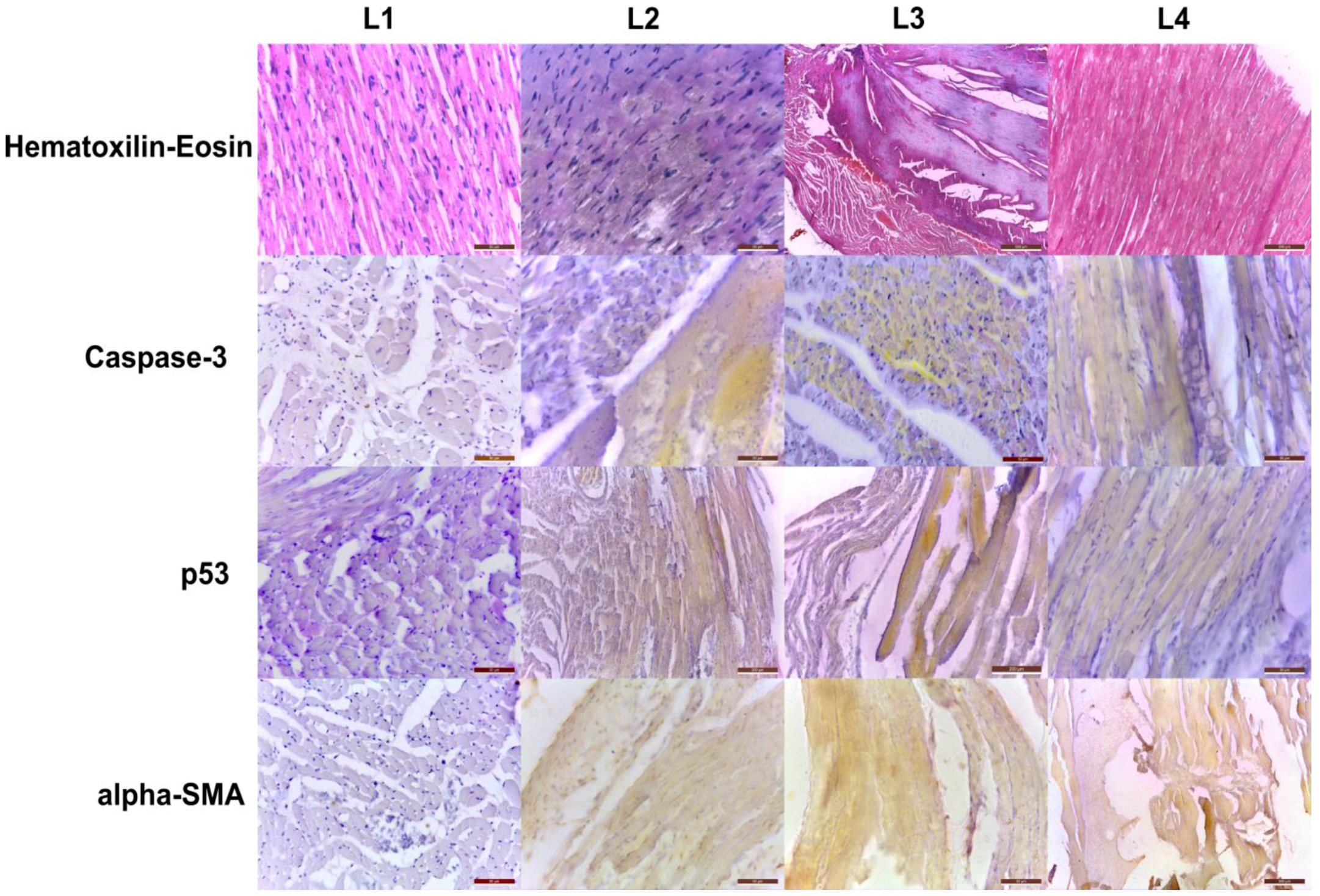 Ijms 23 15409 g003 Ijms 23 15409 g003