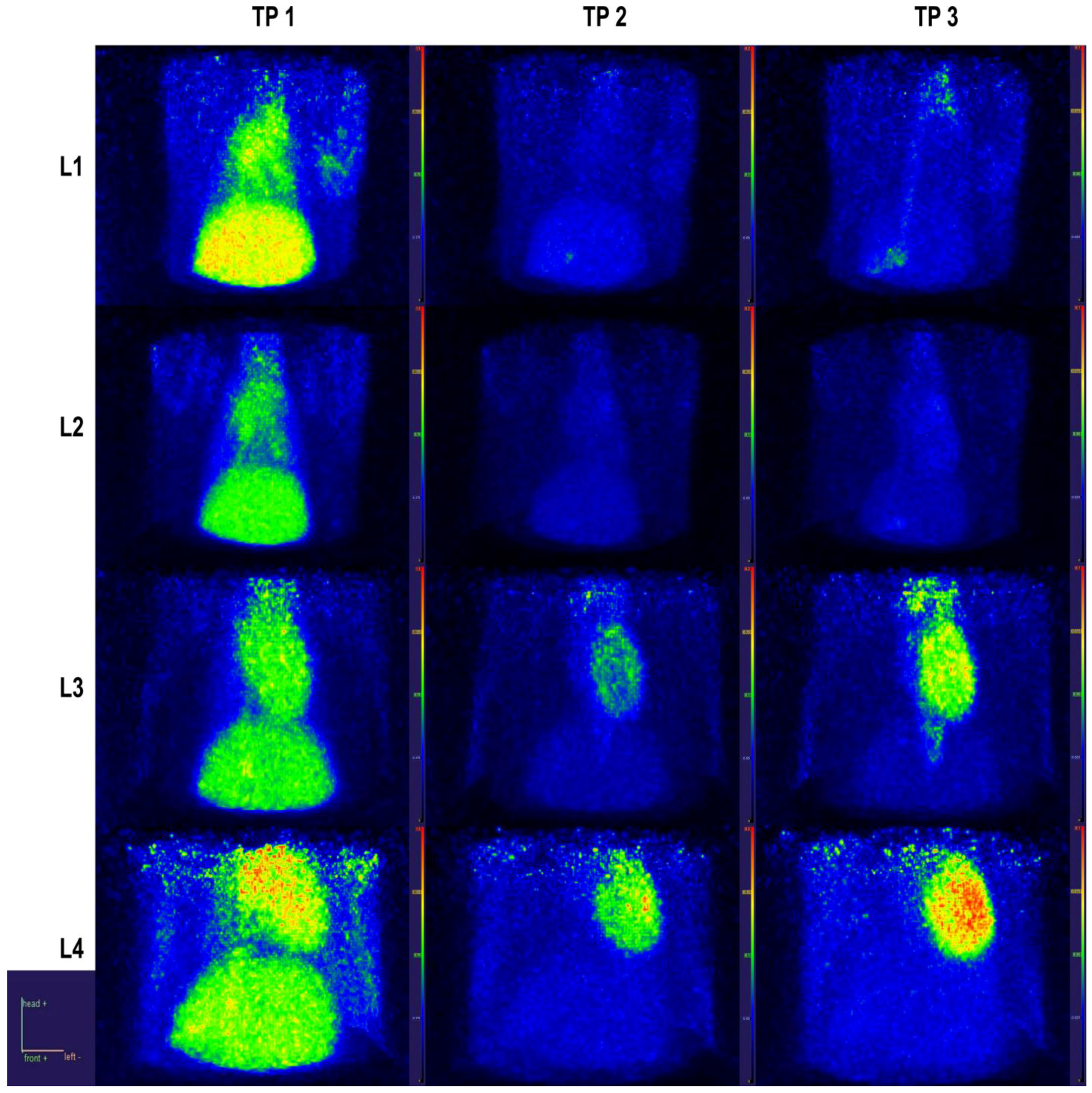 Ijms 23 15409 g007 Ijms 23 15409 g007
