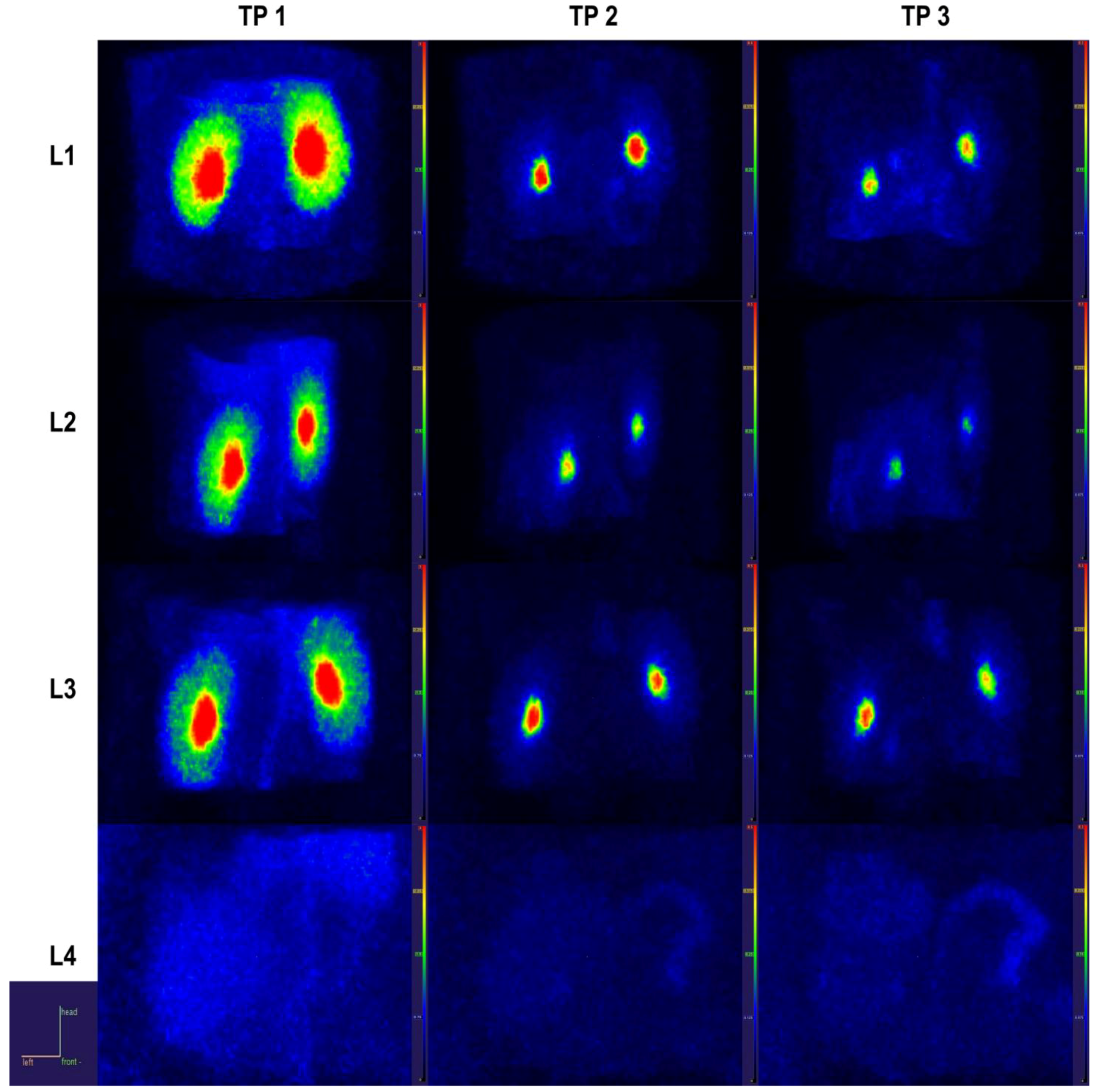 Ijms 23 15409 g008 Ijms 23 15409 g008