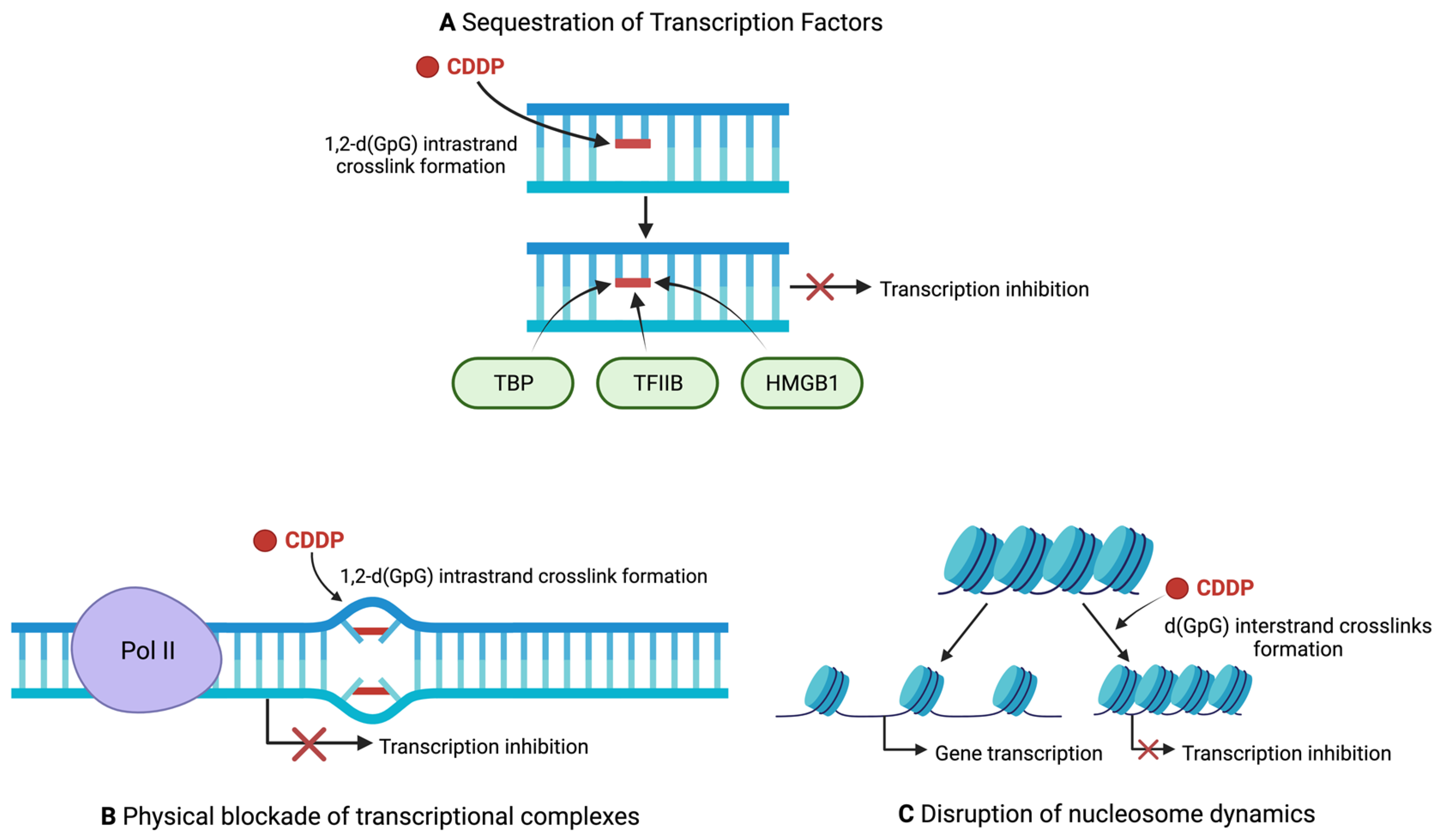 Ijms 23 15410 g003 Ijms 23 15410 g003