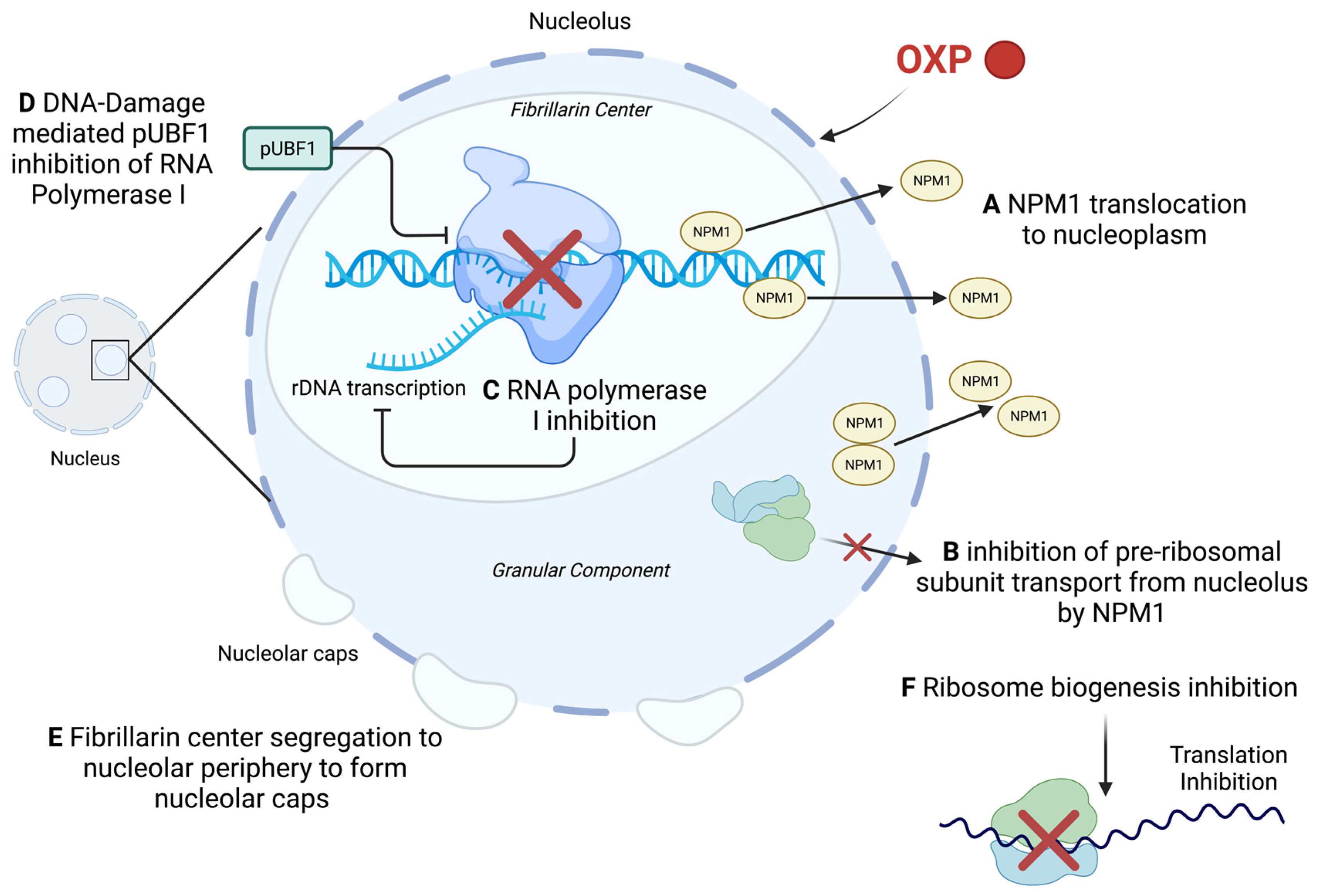Ijms 23 15410 g008 Ijms 23 15410 g008