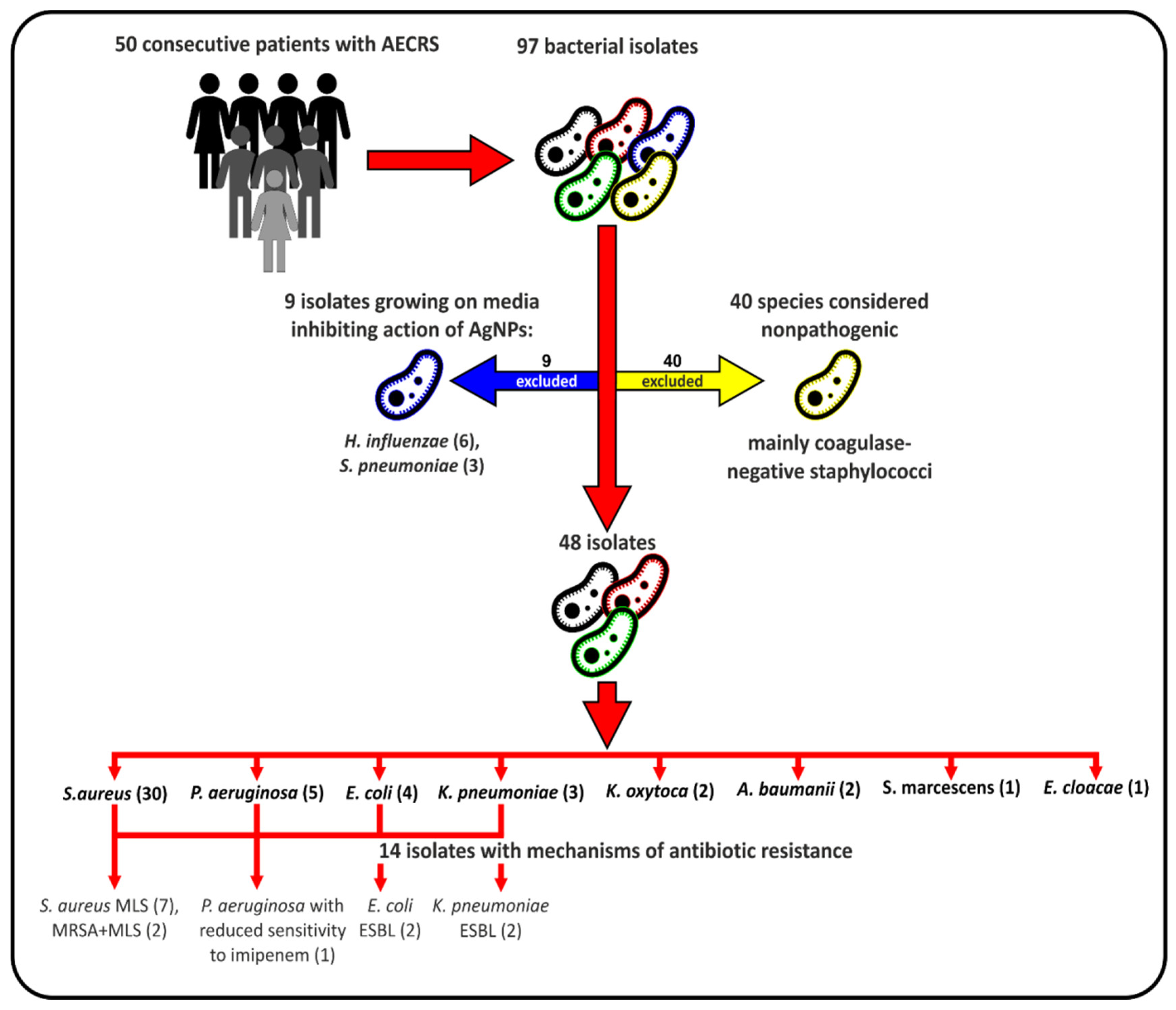 Ijms 23 15411 g003 Ijms 23 15411 g003