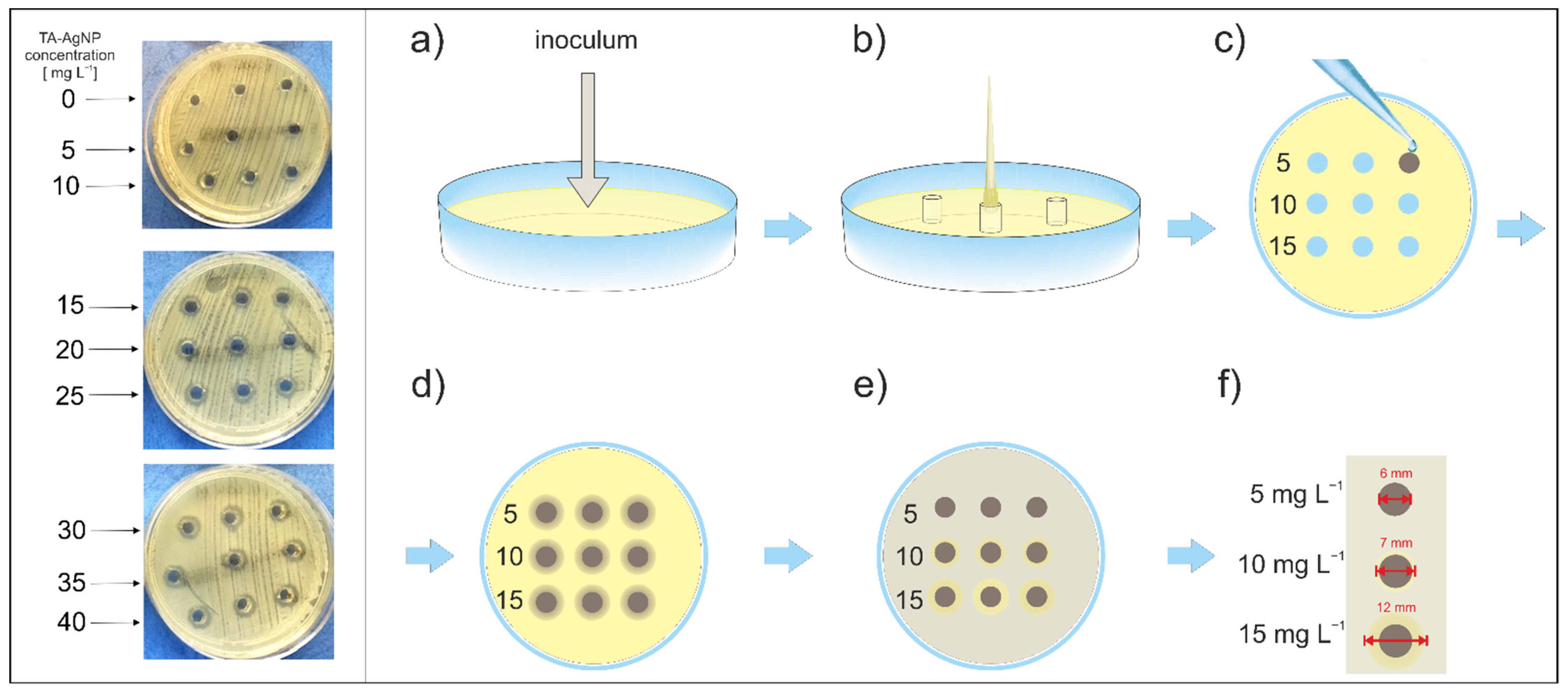 Ijms 23 15411 g004 Ijms 23 15411 g004