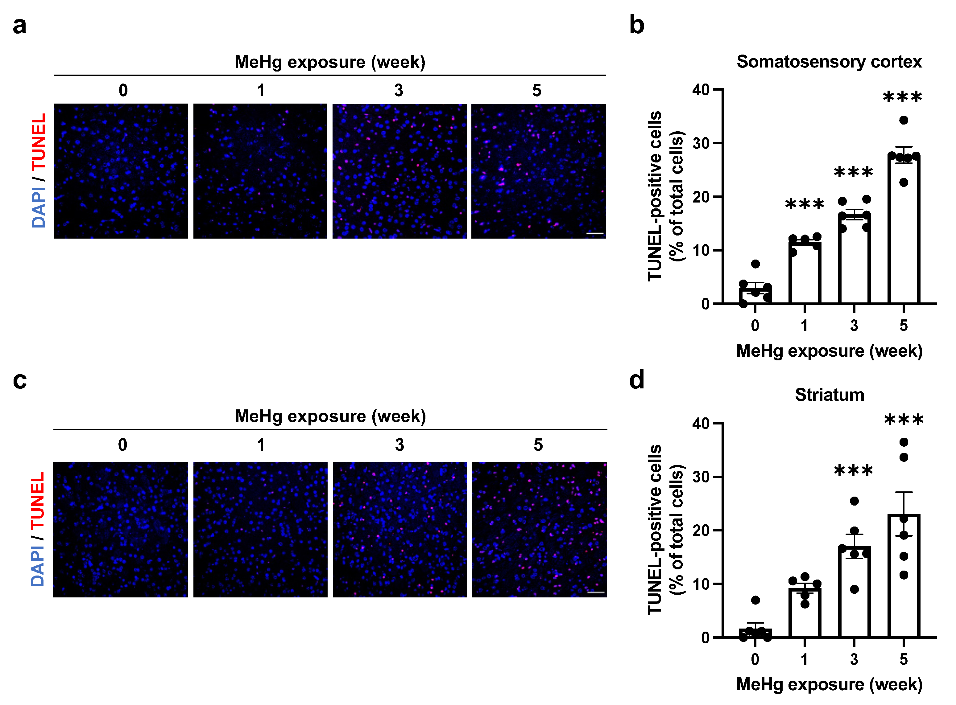 Ijms 23 15412 g005 Ijms 23 15412 g005
