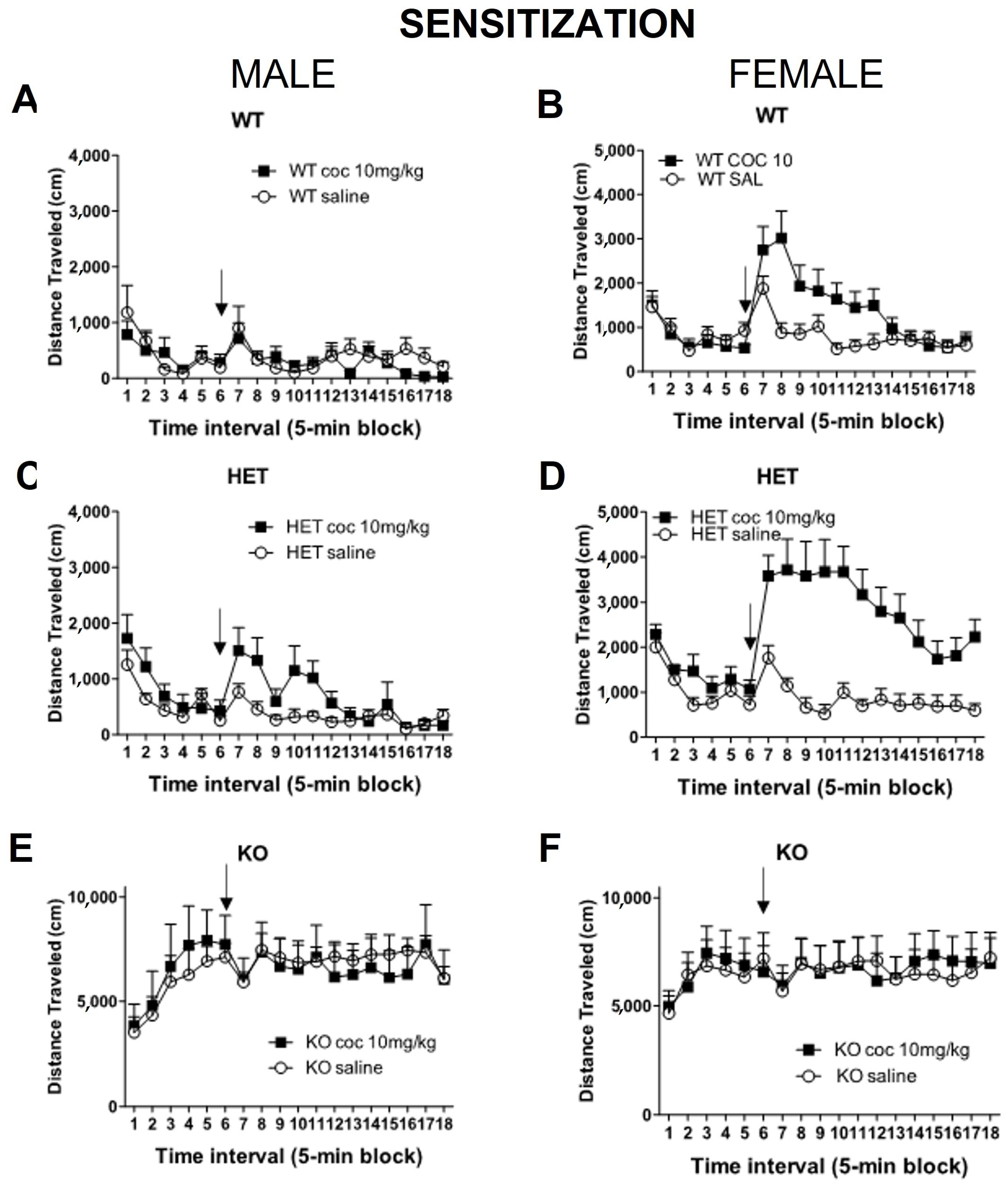 Ijms 23 15414 g005 Ijms 23 15414 g005
