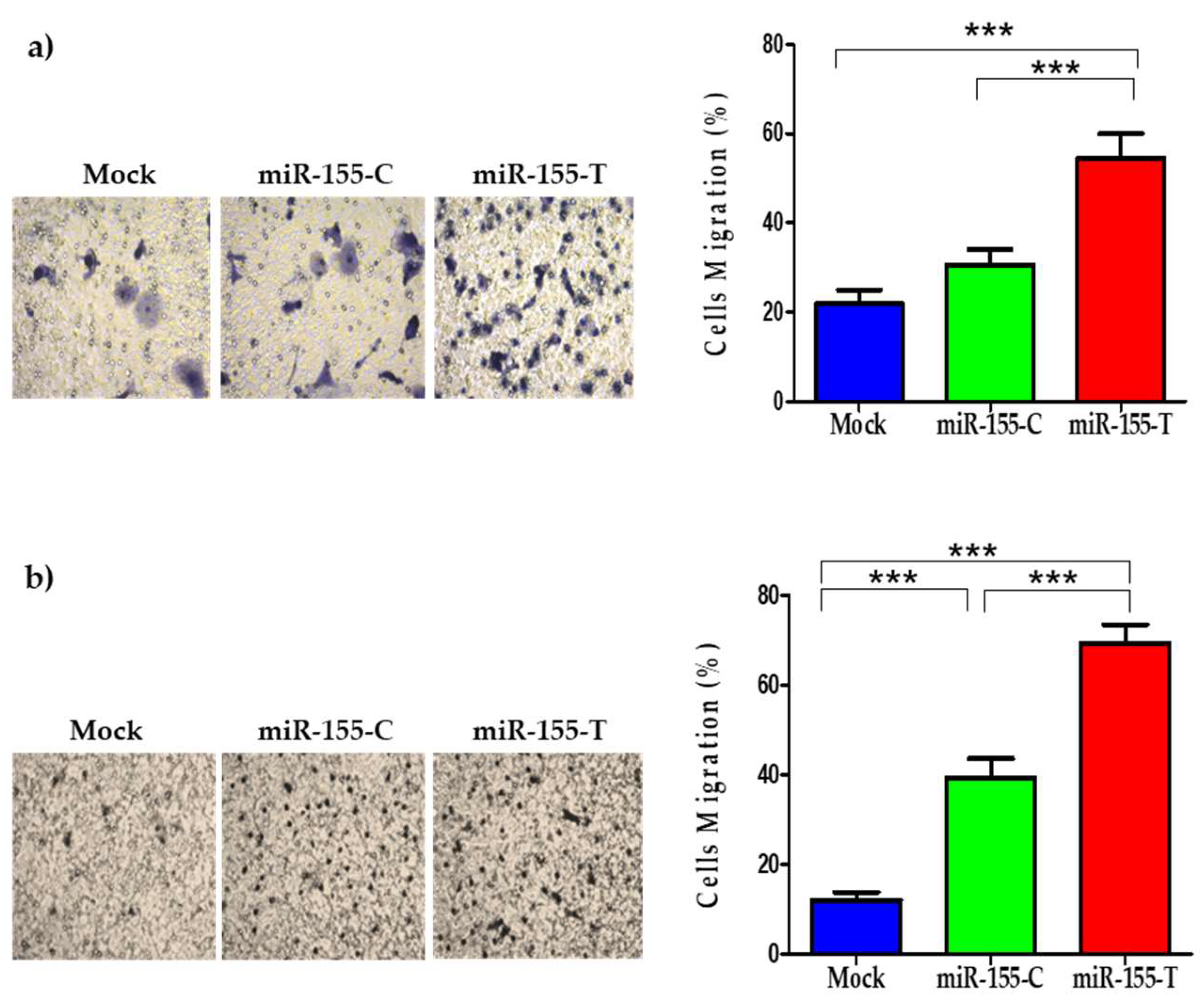 Ijms 23 15418 g004 Ijms 23 15418 g004