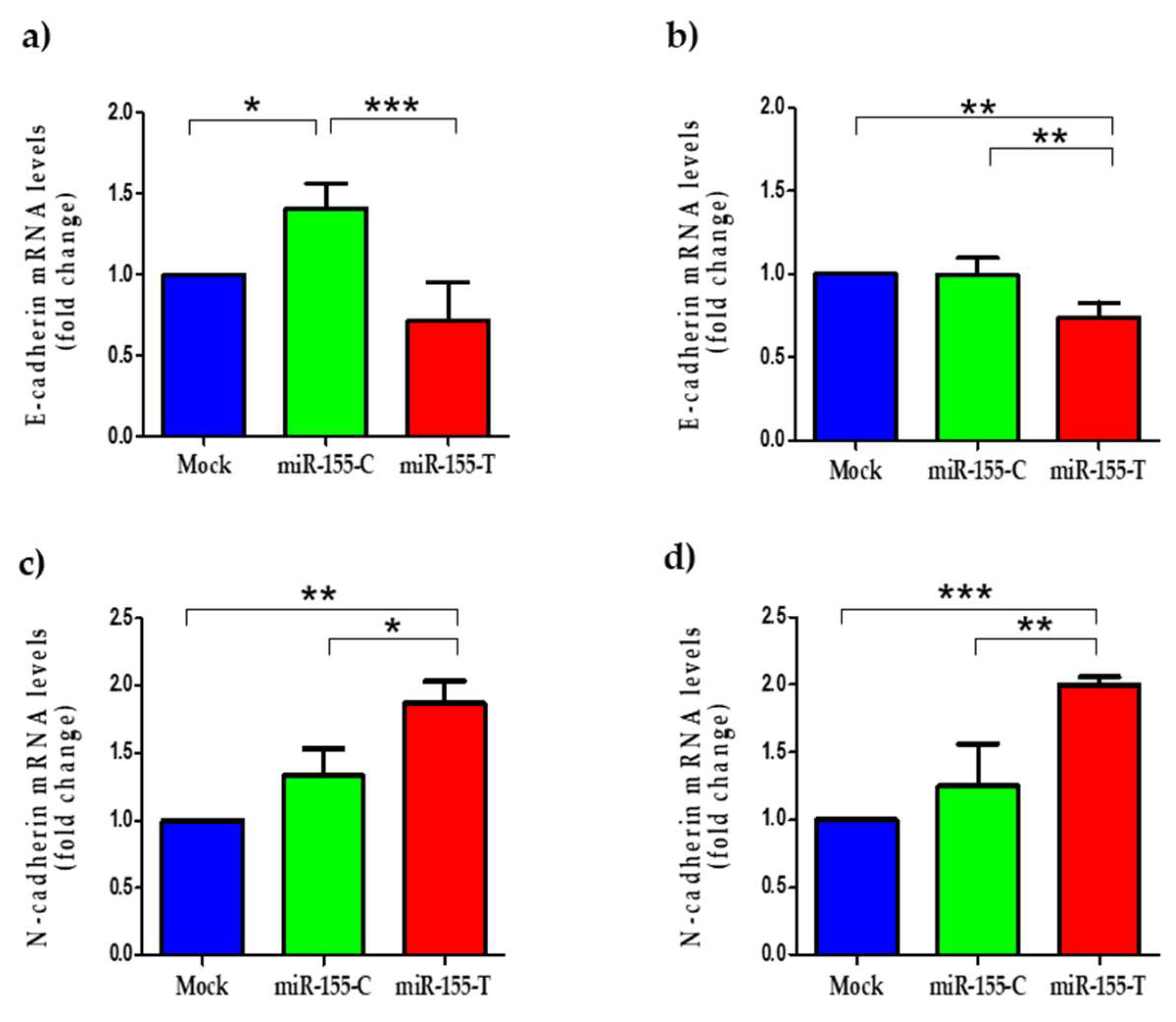 Ijms 23 15418 g005 Ijms 23 15418 g005