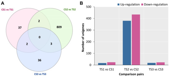 Comparative Transcriptome Analysis Unveils the Molecular Mechanism ...