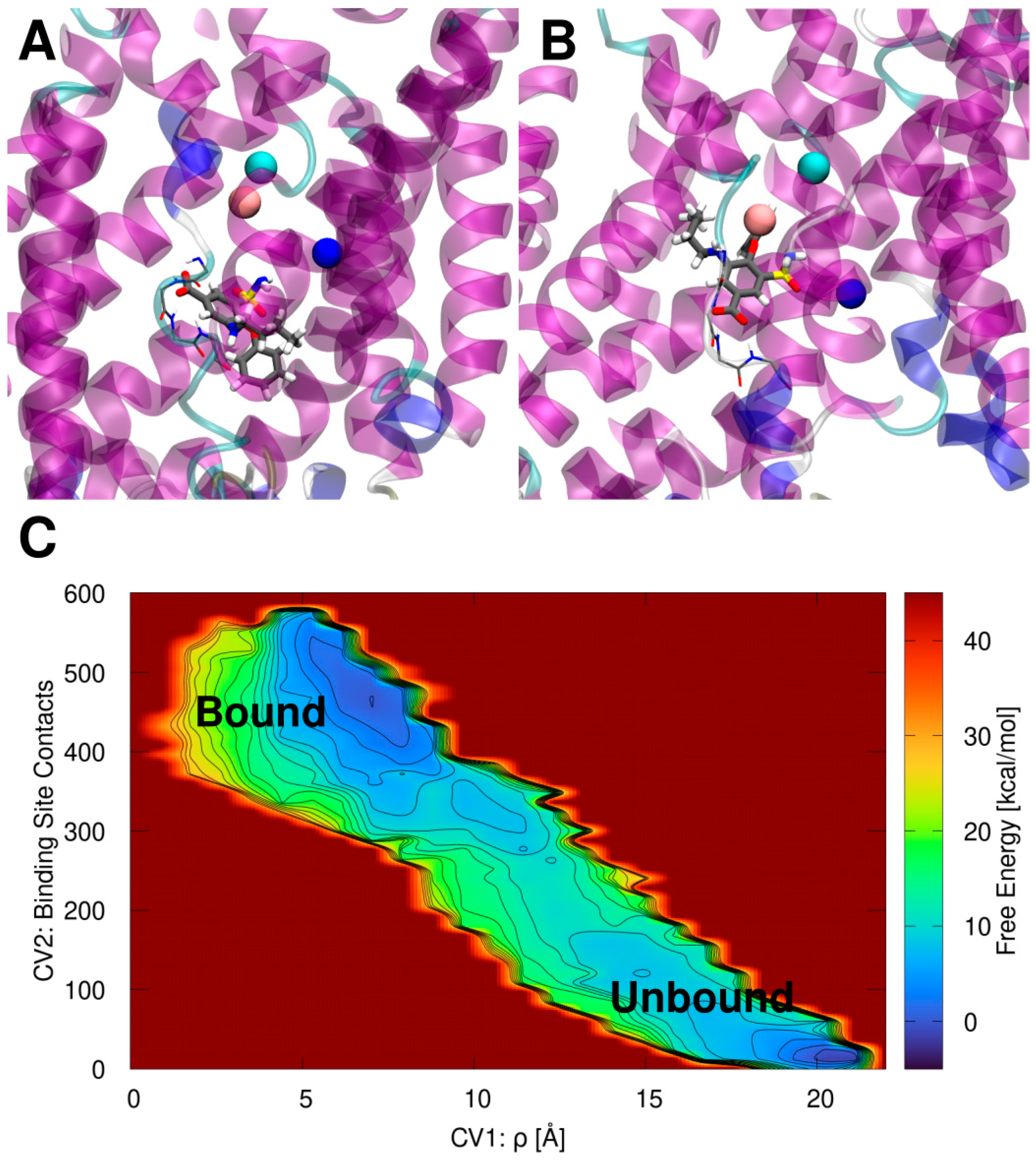 Ijms 23 15439 g002 Ijms 23 15439 g002