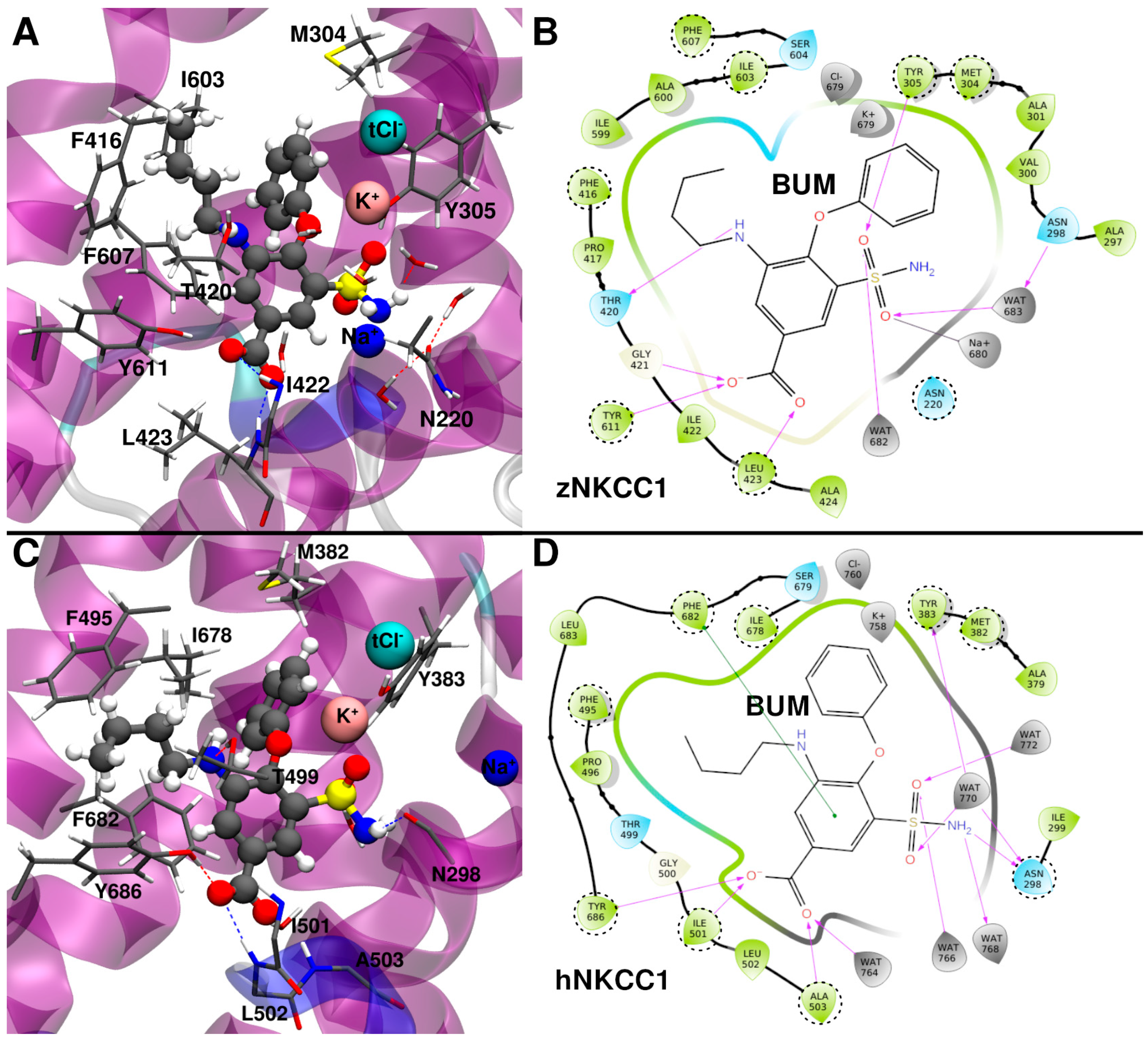 Ijms 23 15439 g003 Ijms 23 15439 g003