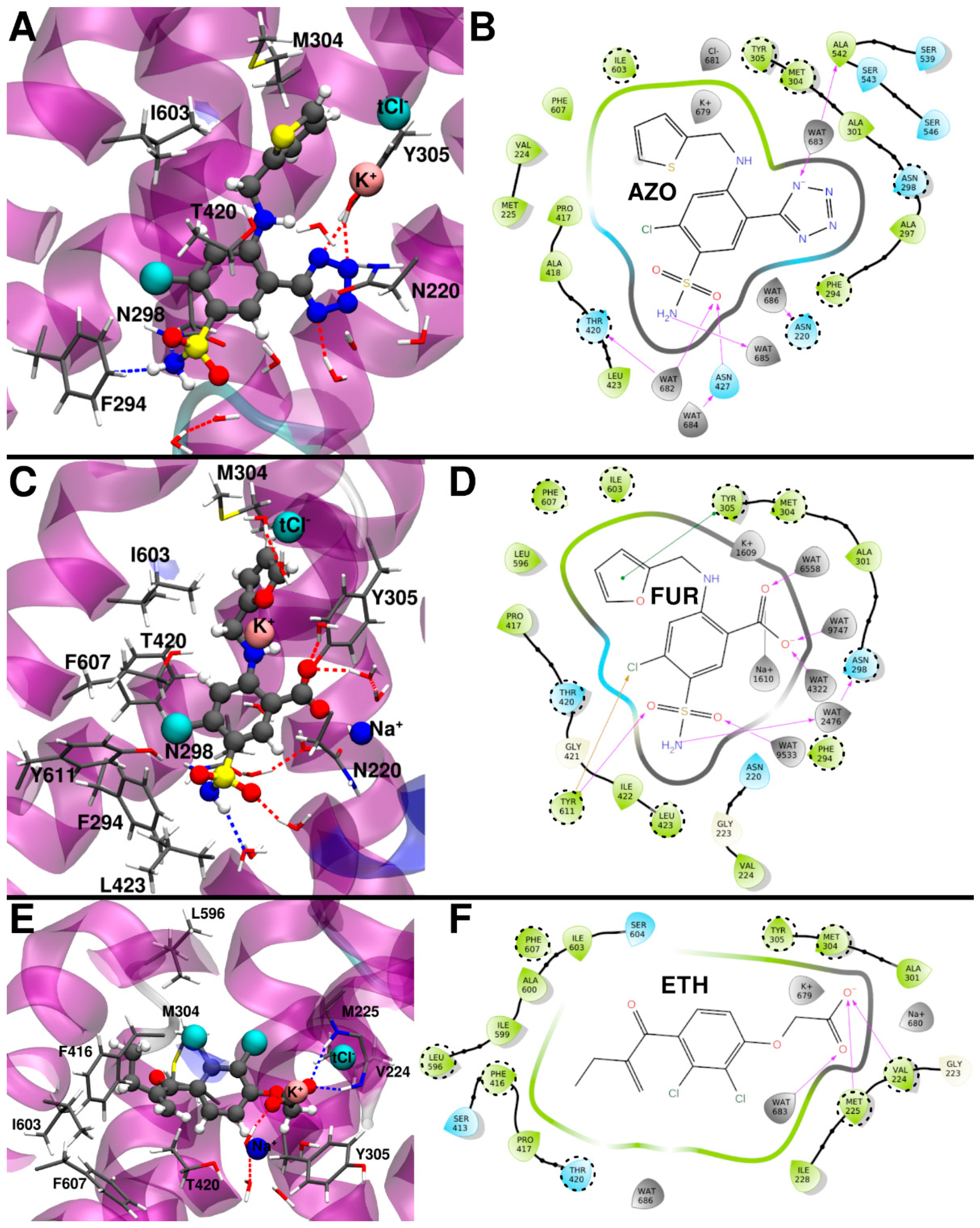 Ijms 23 15439 g004 Ijms 23 15439 g004