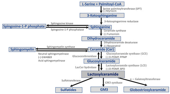 Glycosphingolipids in Diabetes, Oxidative Stress, and
