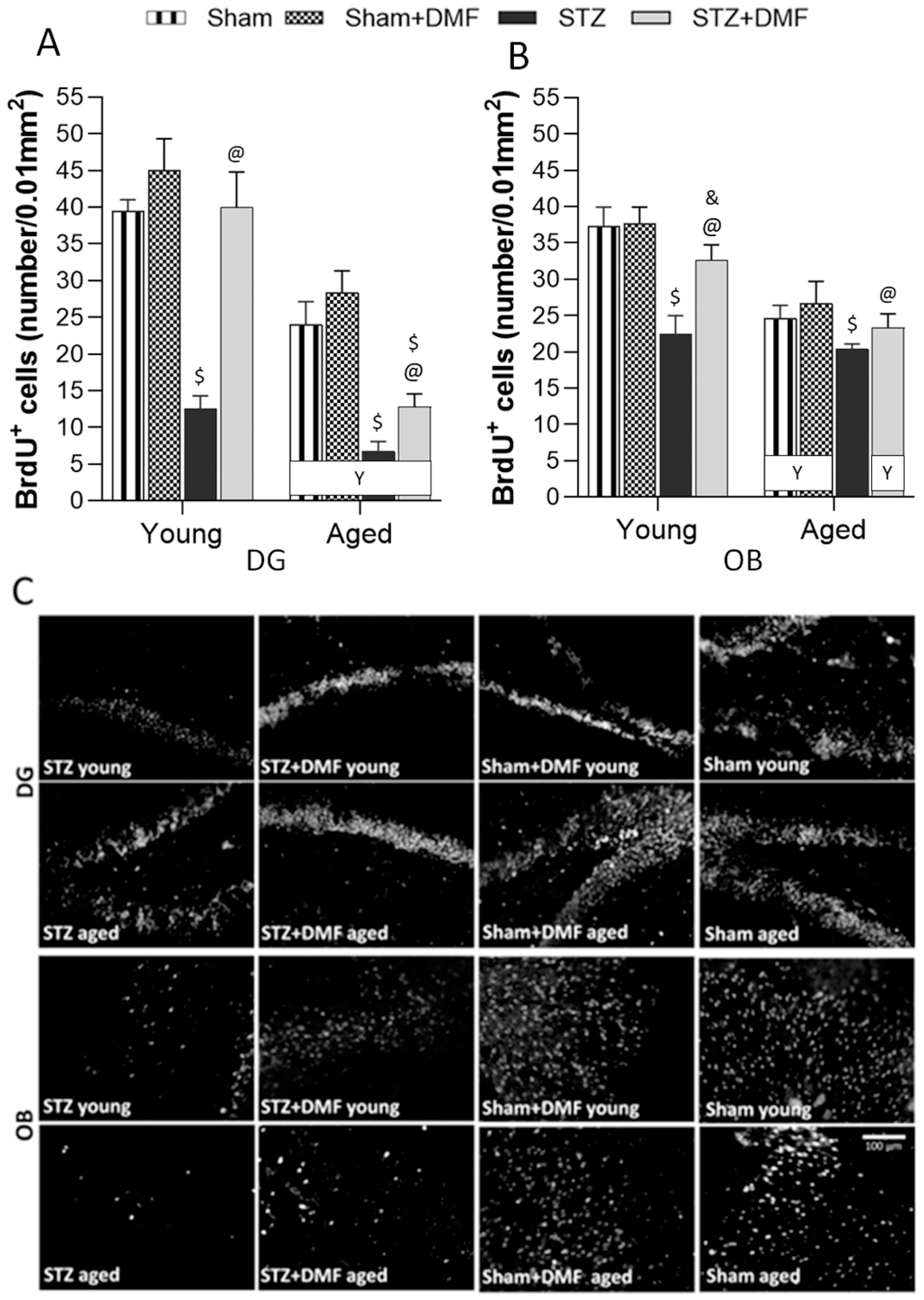 Ijms 23 15449 g004 Ijms 23 15449 g004