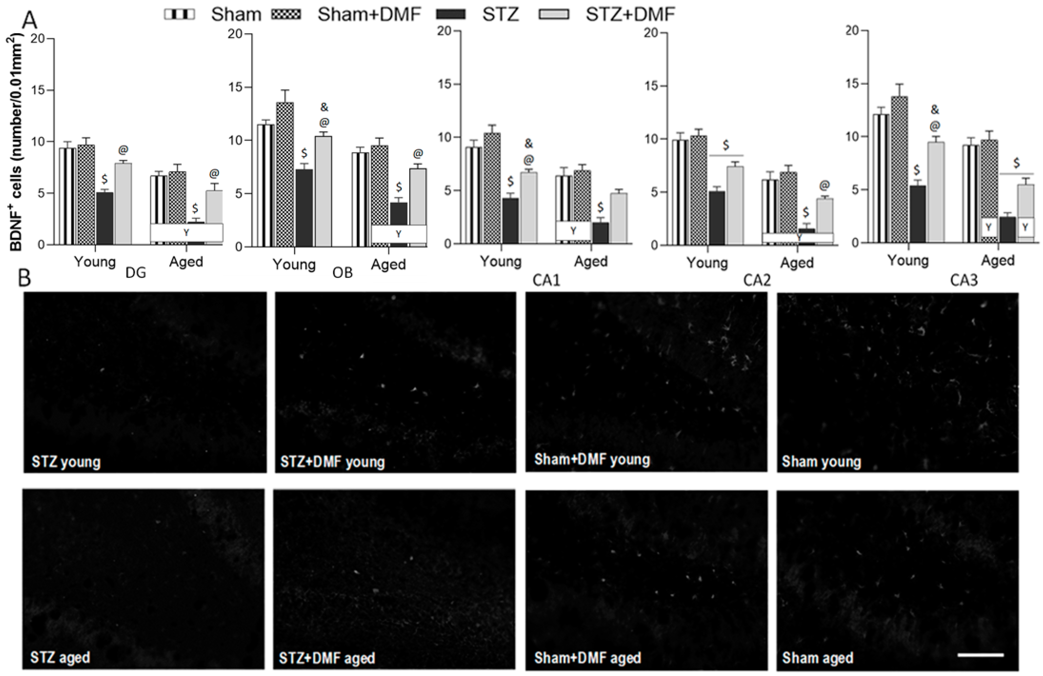 Ijms 23 15449 g007 Ijms 23 15449 g007