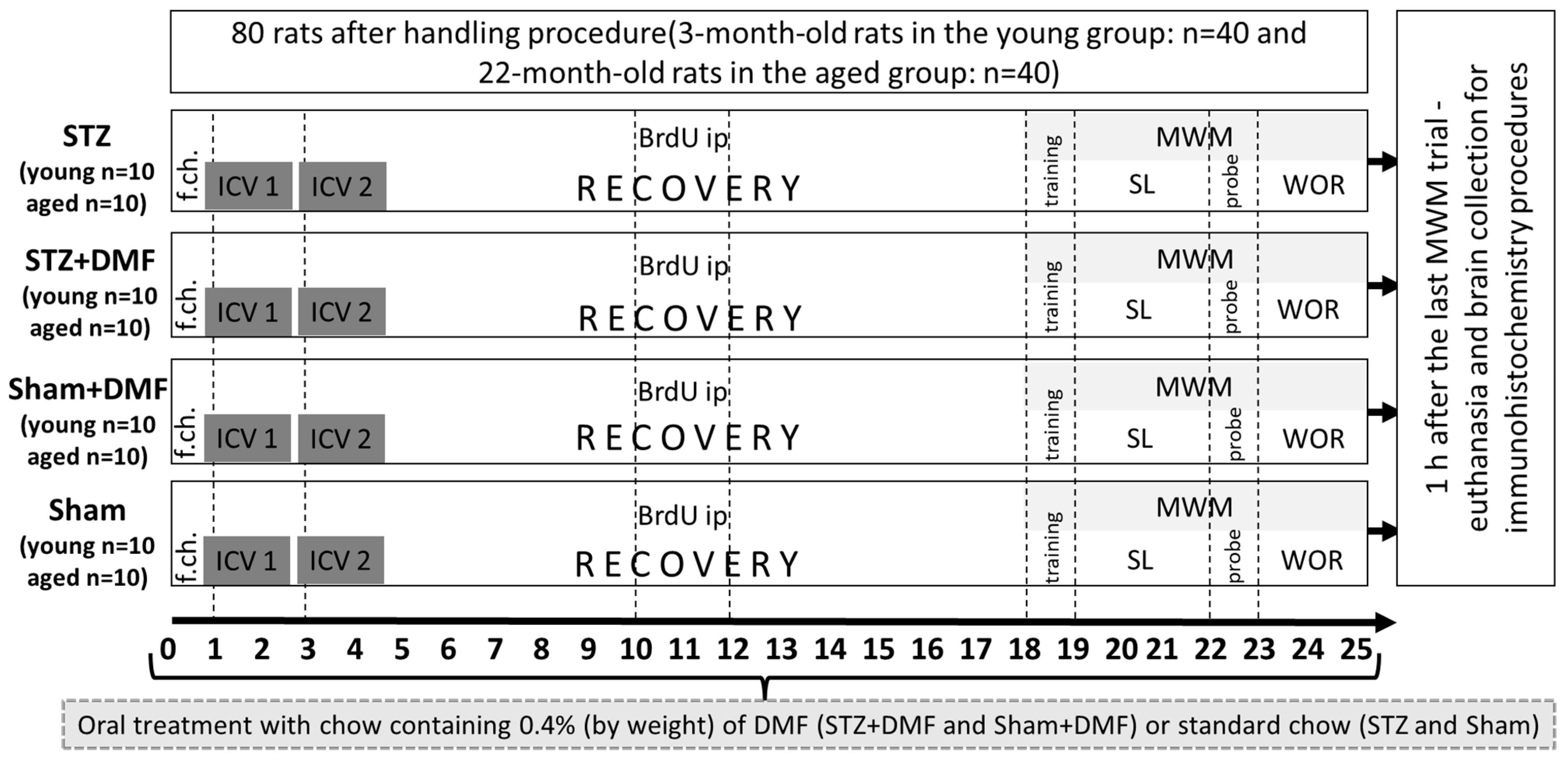 Ijms 23 15449 g008 Ijms 23 15449 g008