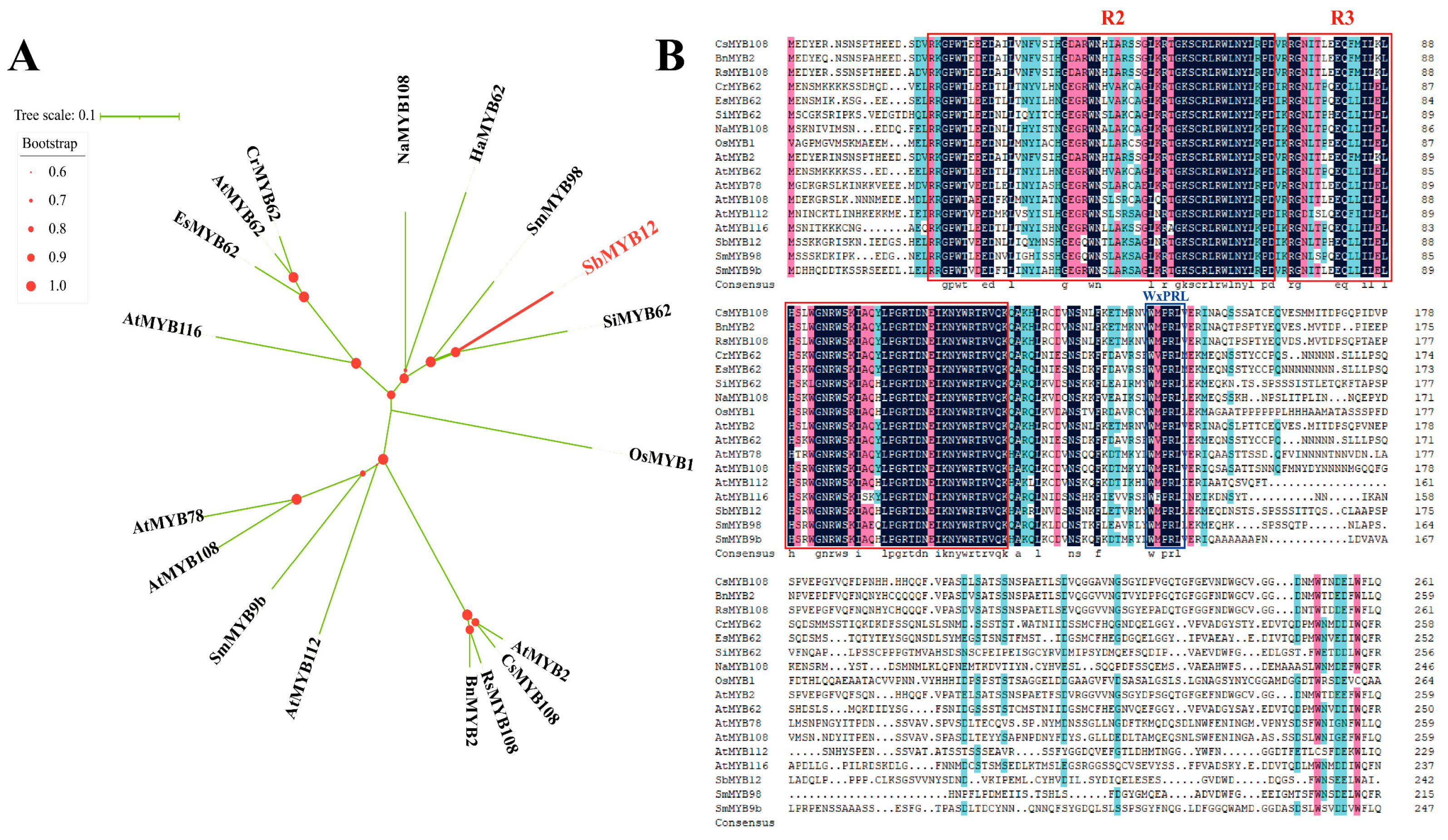 Ijms 23 15452 g003 Ijms 23 15452 g003