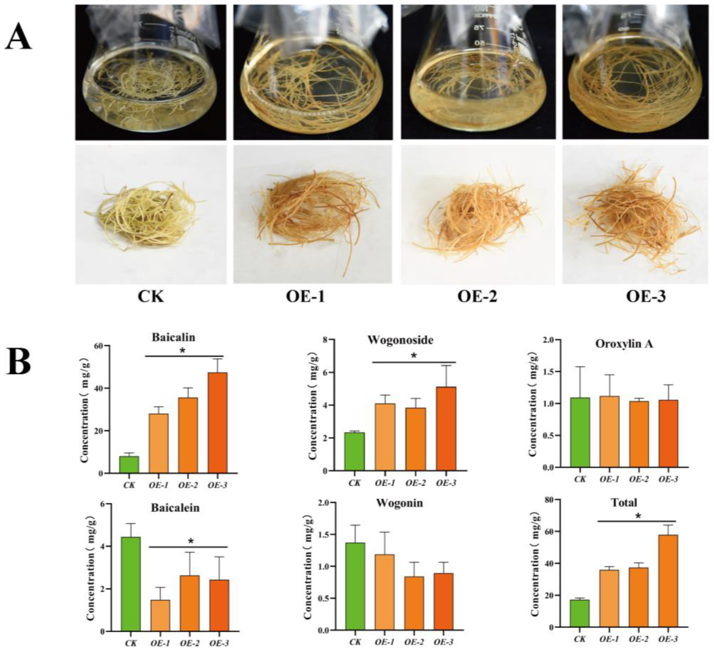 Ijms 23 15452 g006 Ijms 23 15452 g006