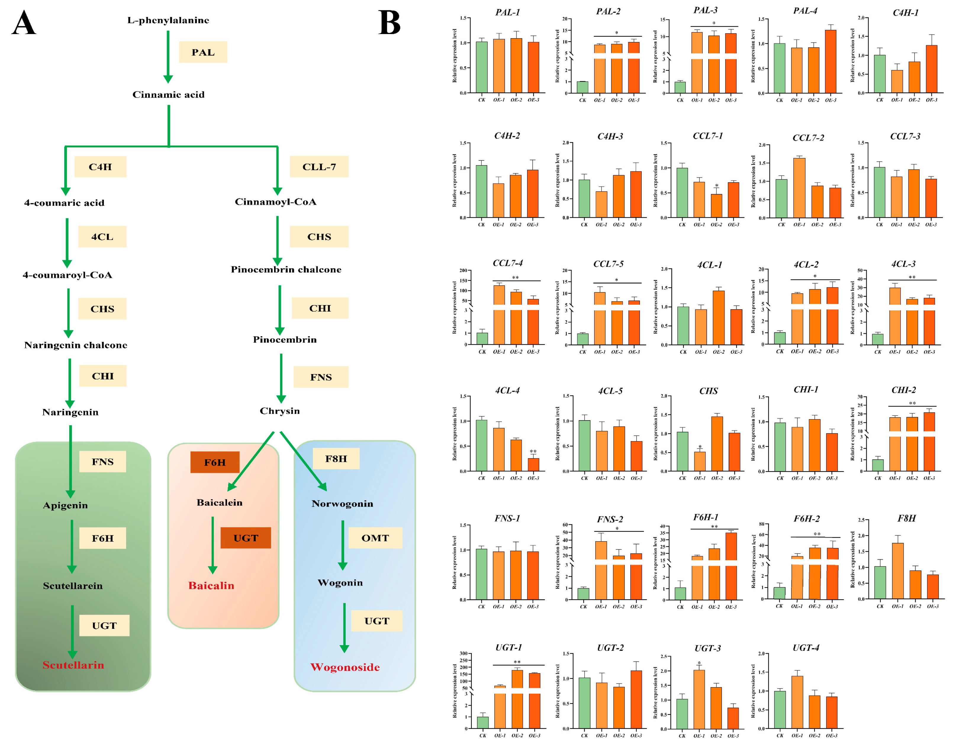 Ijms 23 15452 g007 Ijms 23 15452 g007