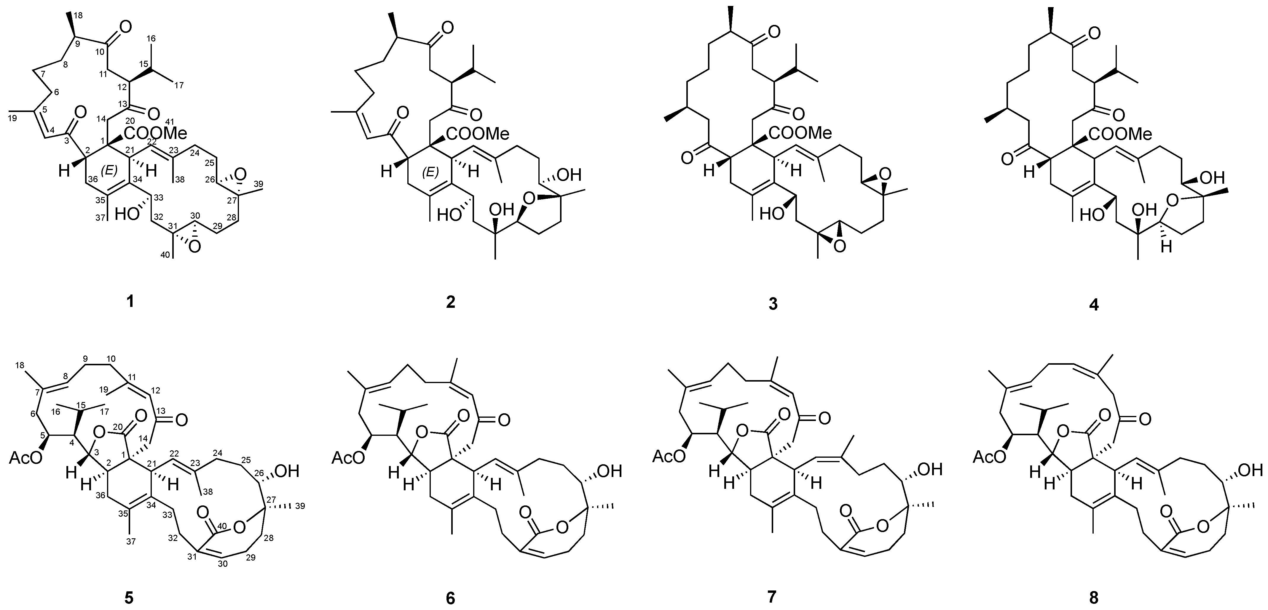 Ijms 23 15464 g001 Ijms 23 15464 g001