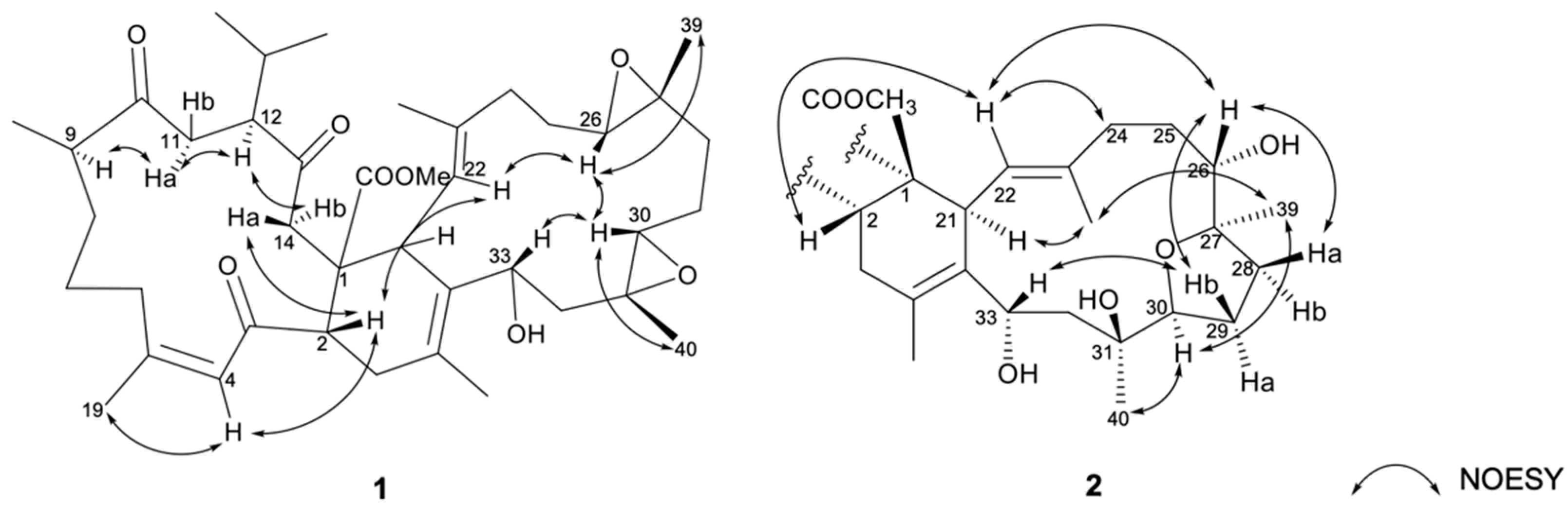 Ijms 23 15464 g004 Ijms 23 15464 g004