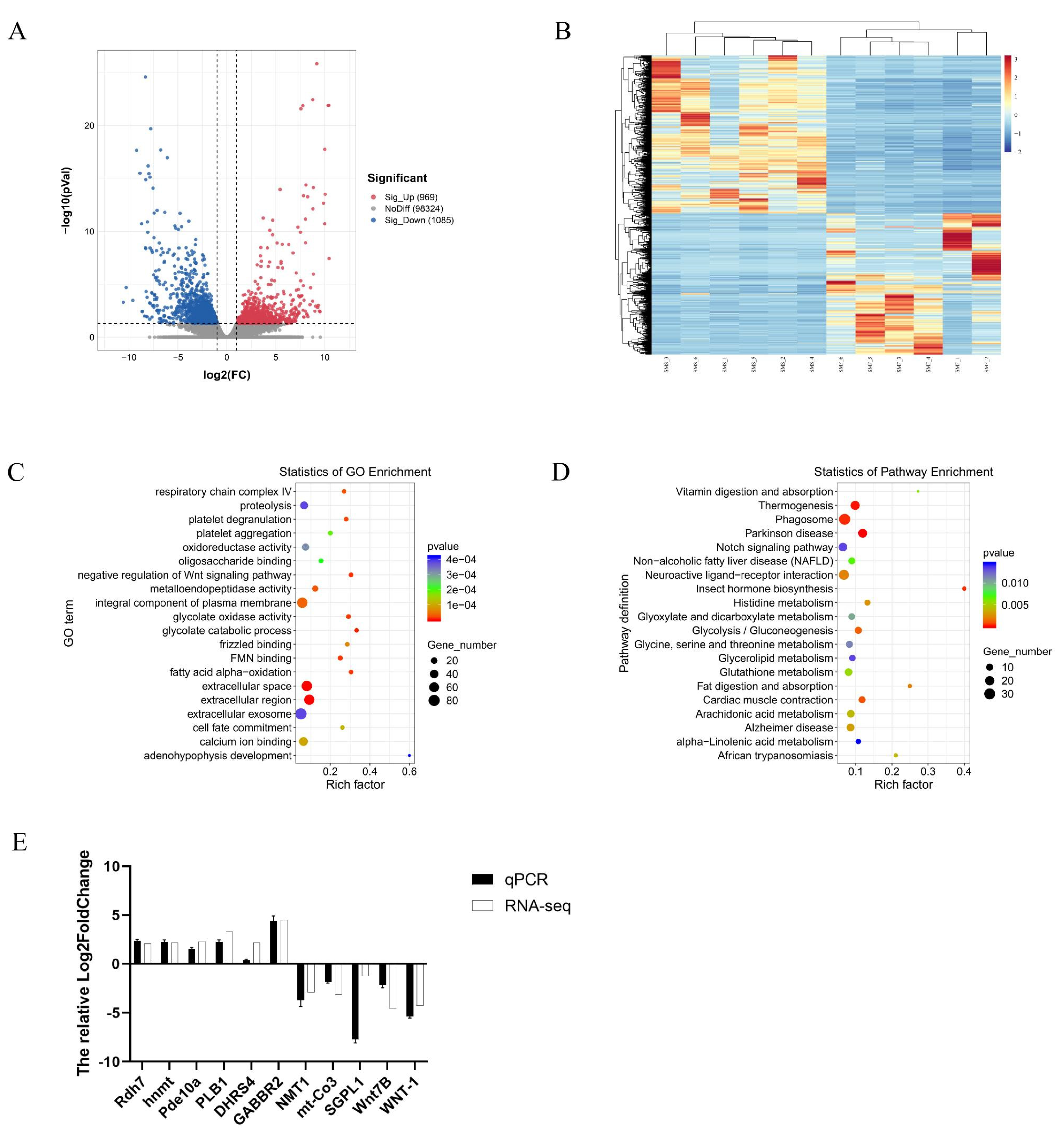 Ijms 23 15478 g004 Ijms 23 15478 g004