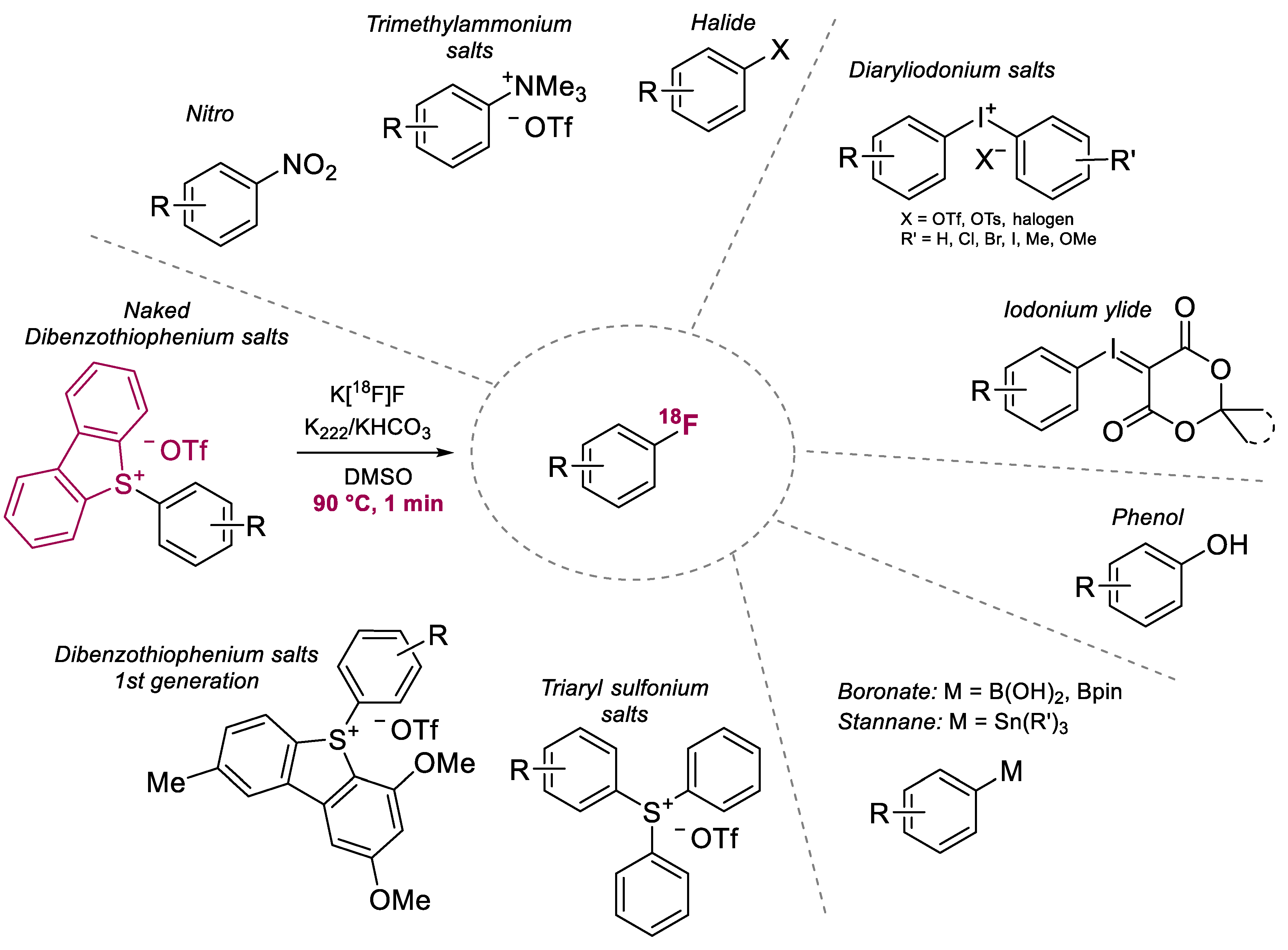 Ijms 23 15481 sch001