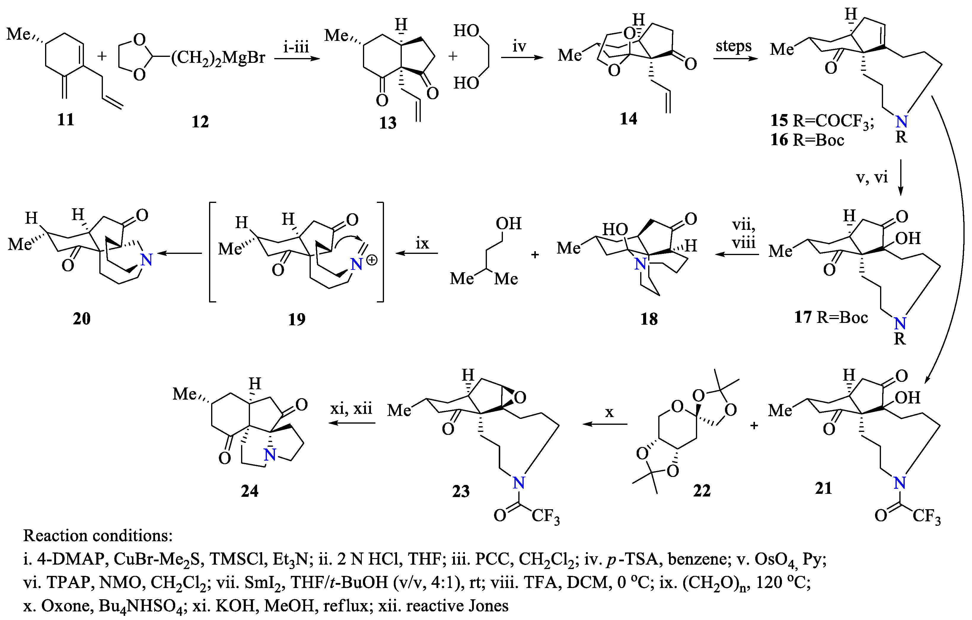 Ijms 23 15484 sch003 Ijms 23 15484 sch003