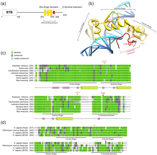 Sequence alignment of the C-and A-sheet domains of the lamprey LV