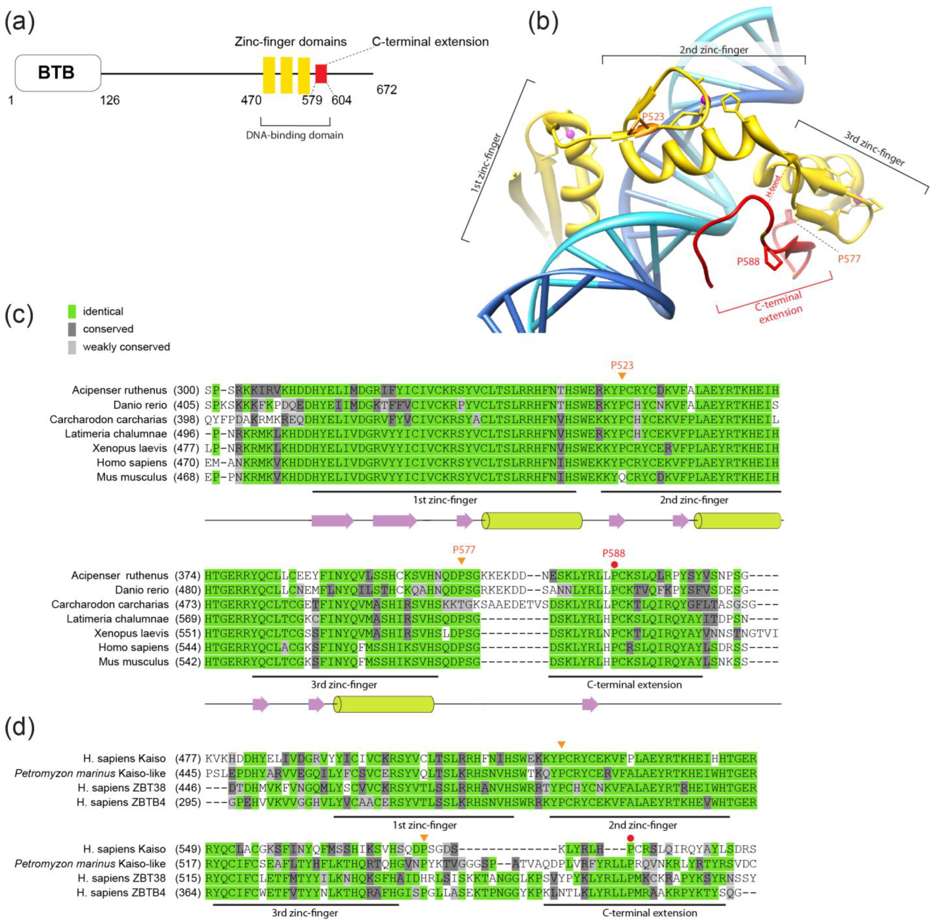 Ijms 23 15494 g001 Ijms 23 15494 g001