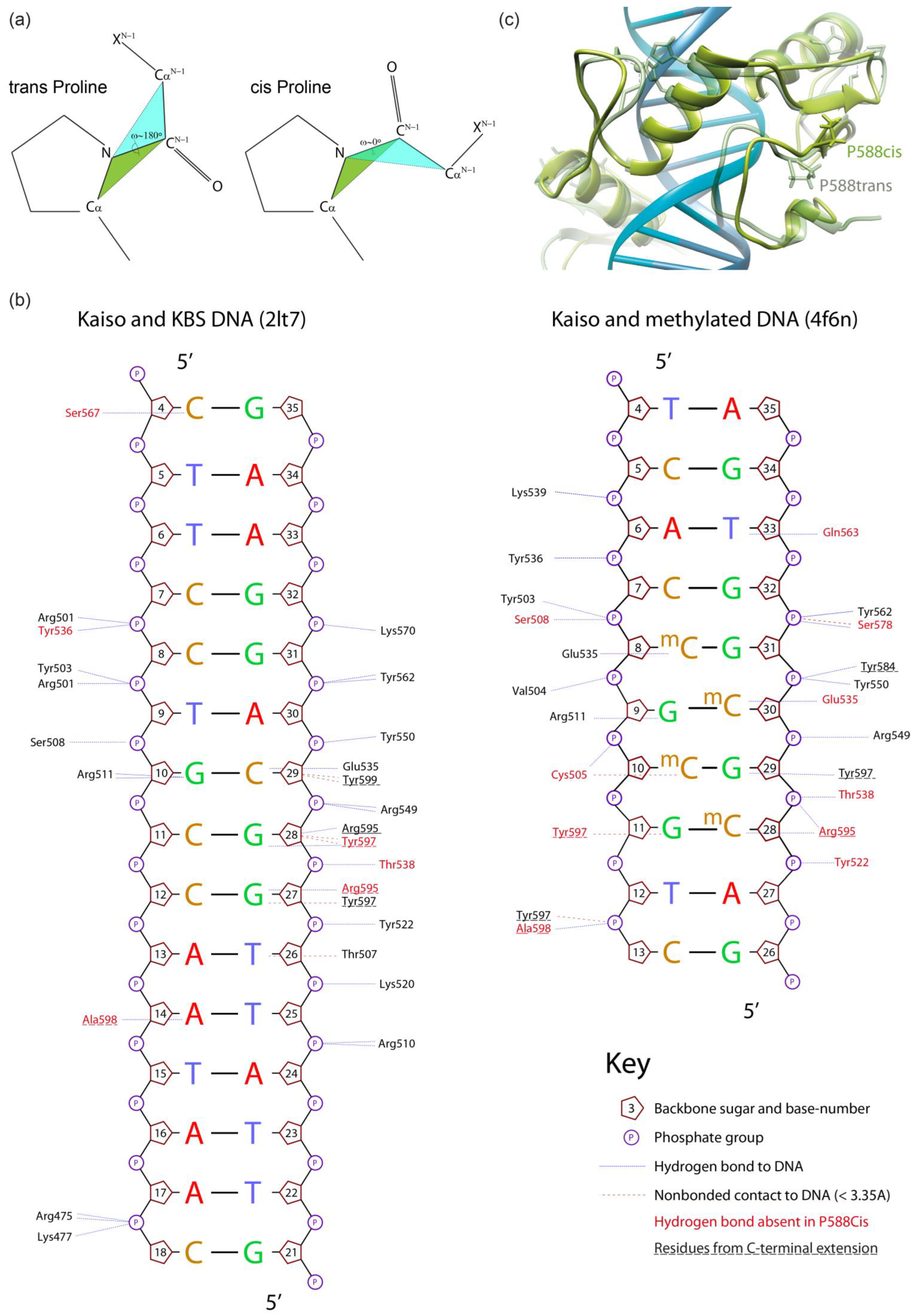 Ijms 23 15494 g002 Ijms 23 15494 g002