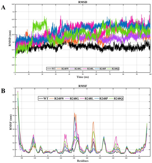 IJMS | Free Full-Text | Unraveling the Structural Changes in the DNA ...