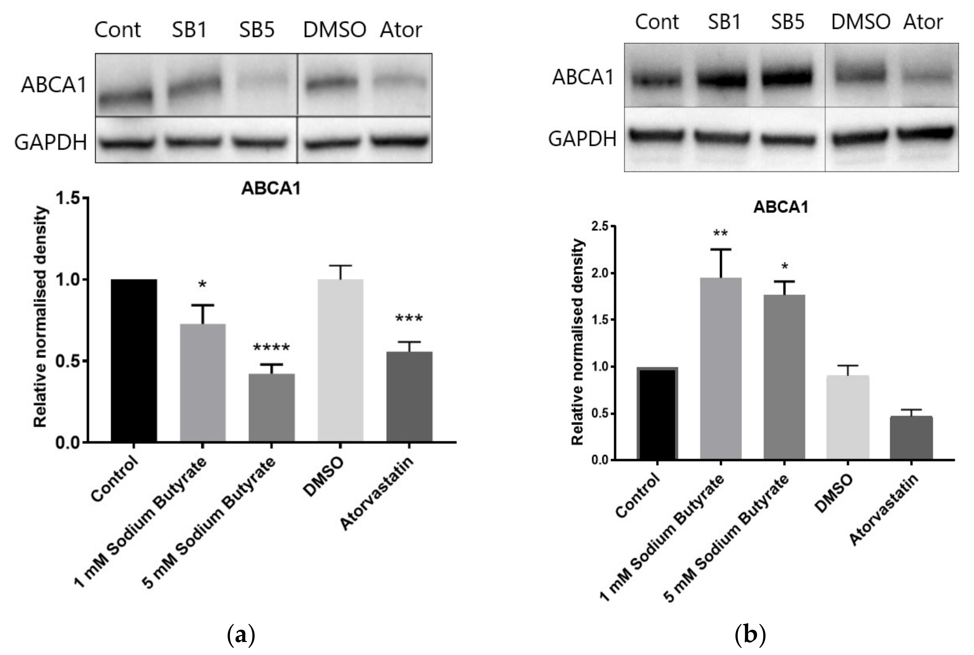 Ijms 23 15506 g008a Ijms 23 15506 g008a
