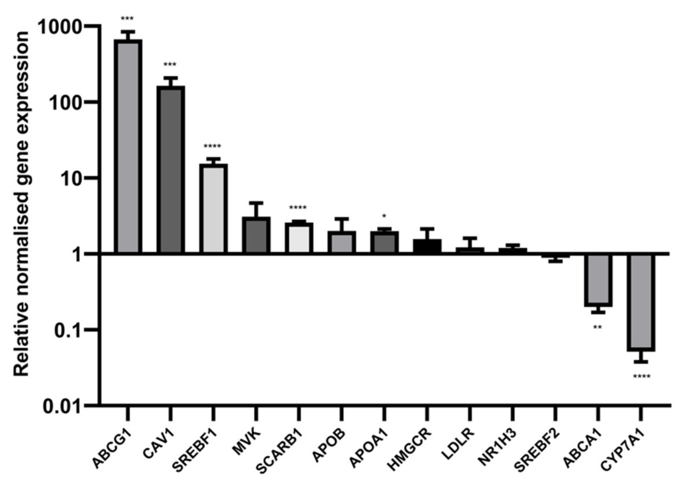 Ijms 23 15506 g009 Ijms 23 15506 g009