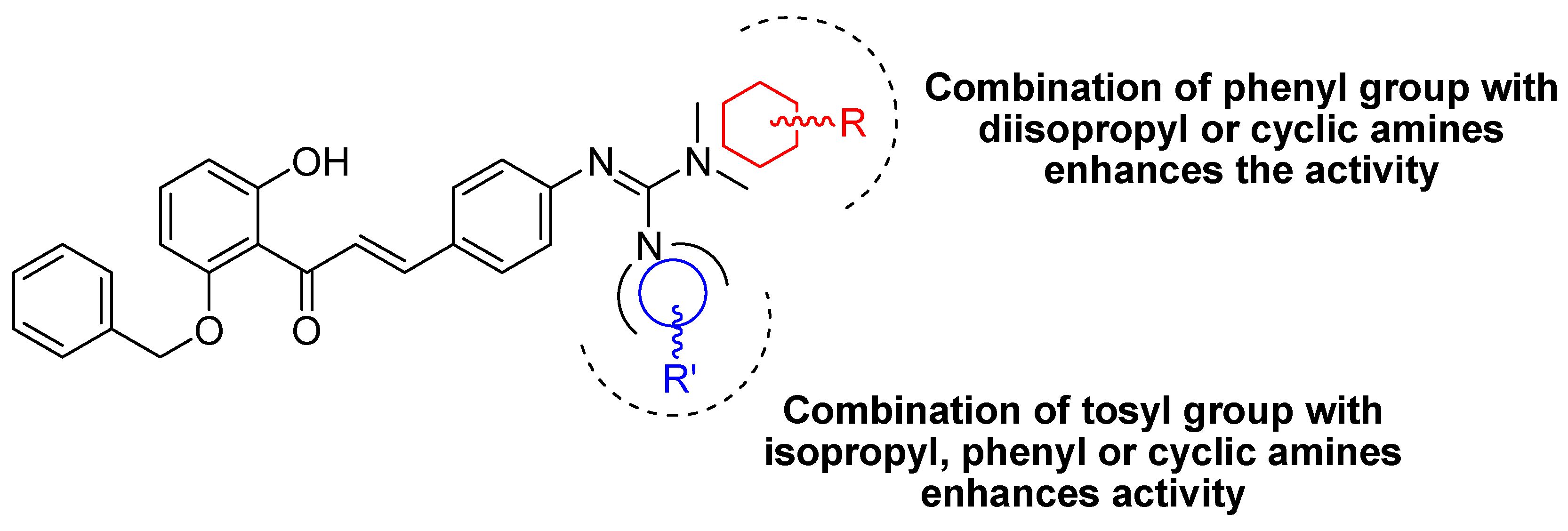 Ijms 23 15518 g001 Ijms 23 15518 g001