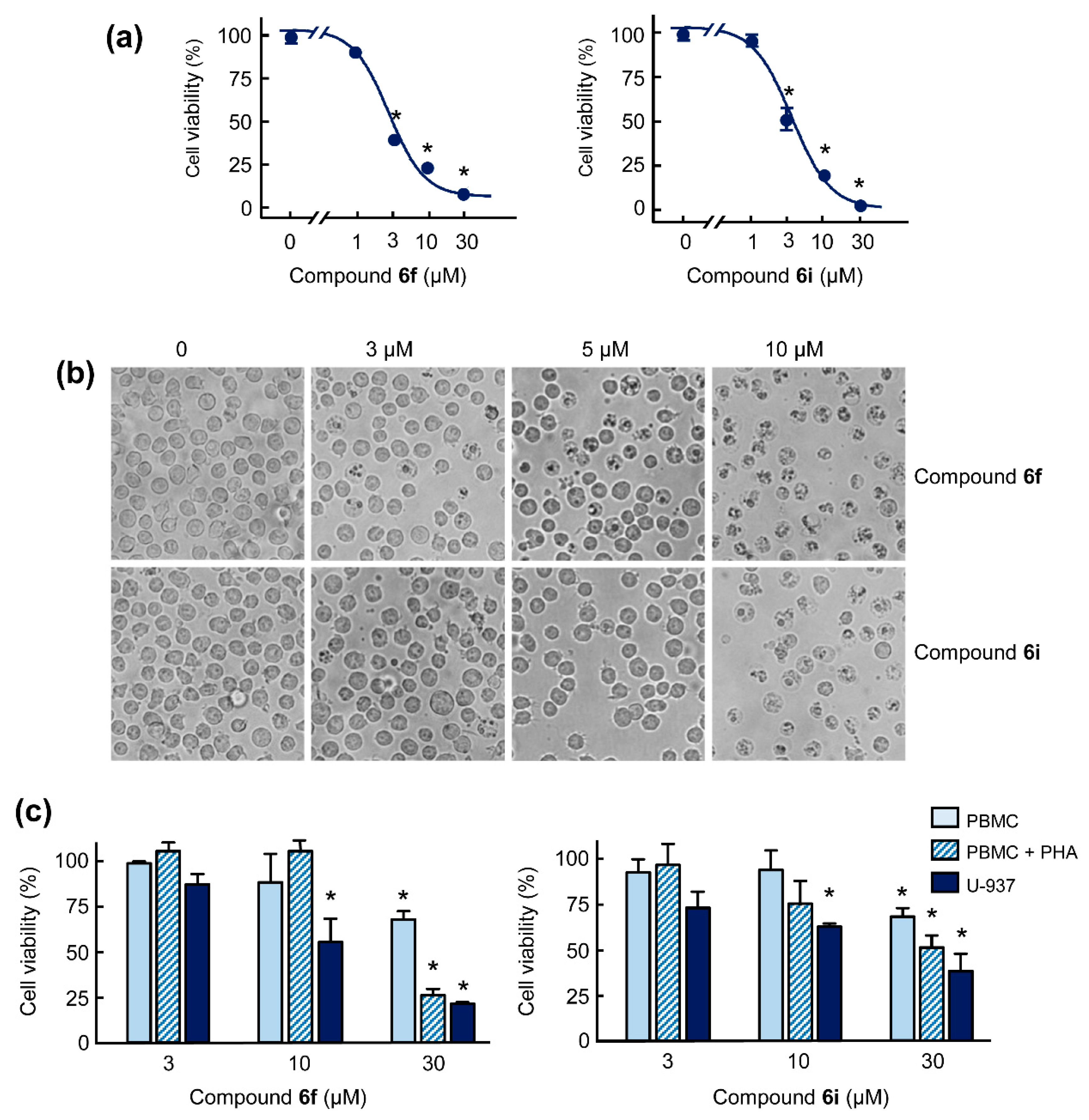 Ijms 23 15518 g002 Ijms 23 15518 g002
