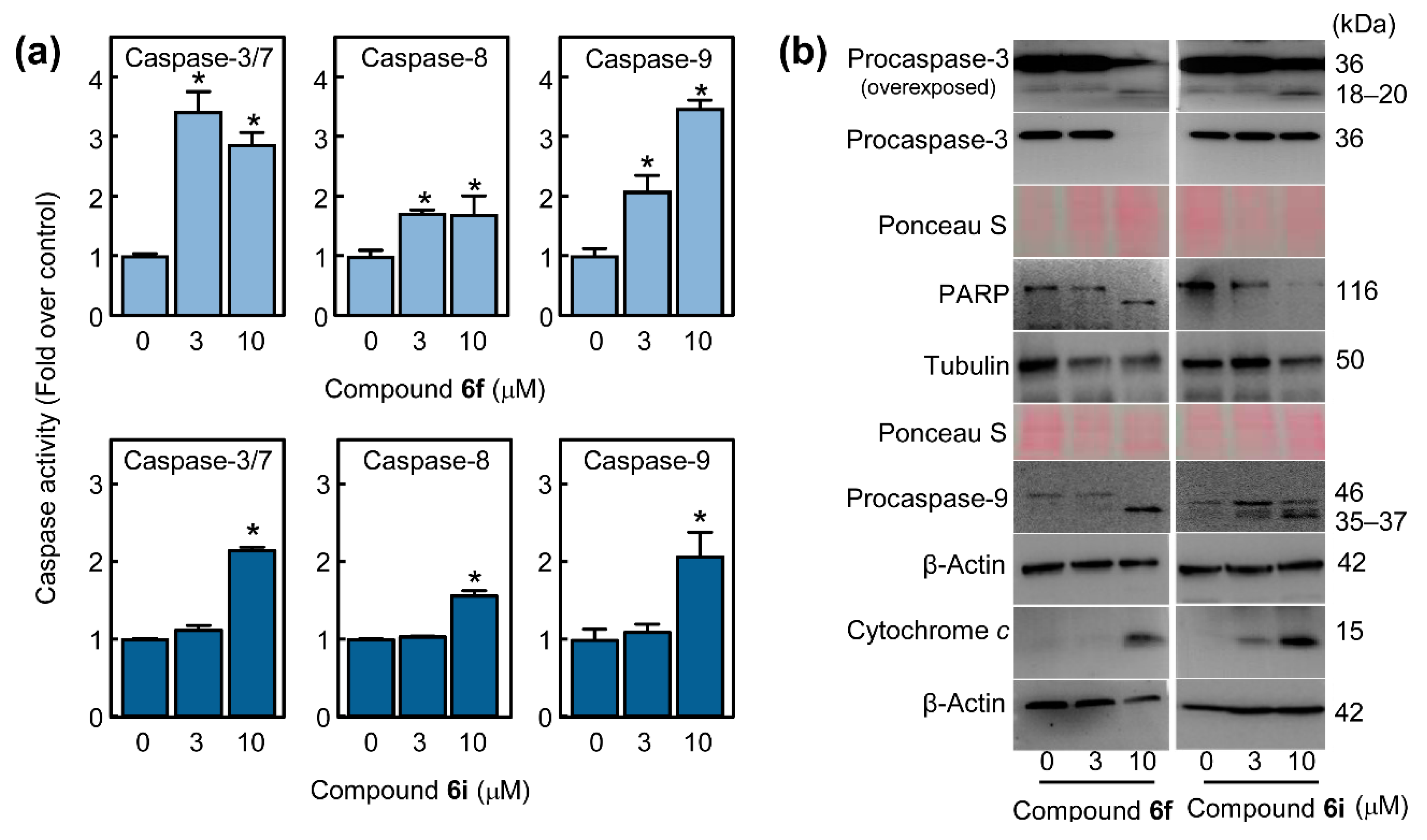 Ijms 23 15518 g004 Ijms 23 15518 g004