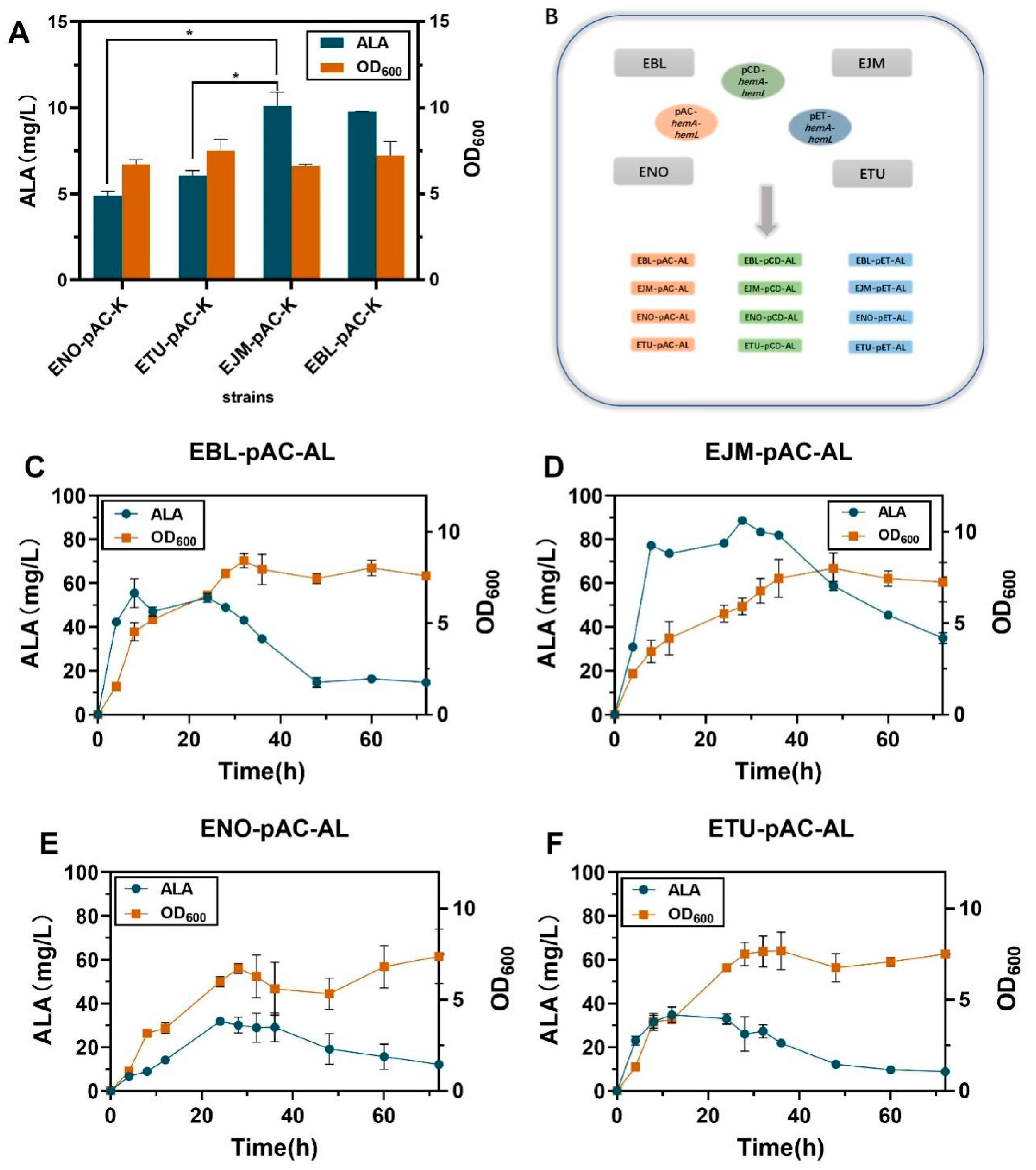Ijms 23 15524 g002 Ijms 23 15524 g002