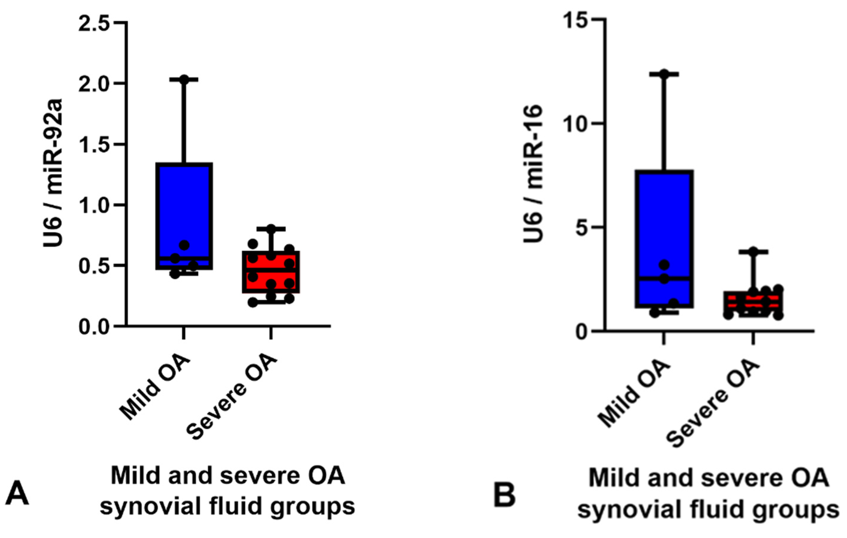 Ijms 23 15526 g004 Ijms 23 15526 g004