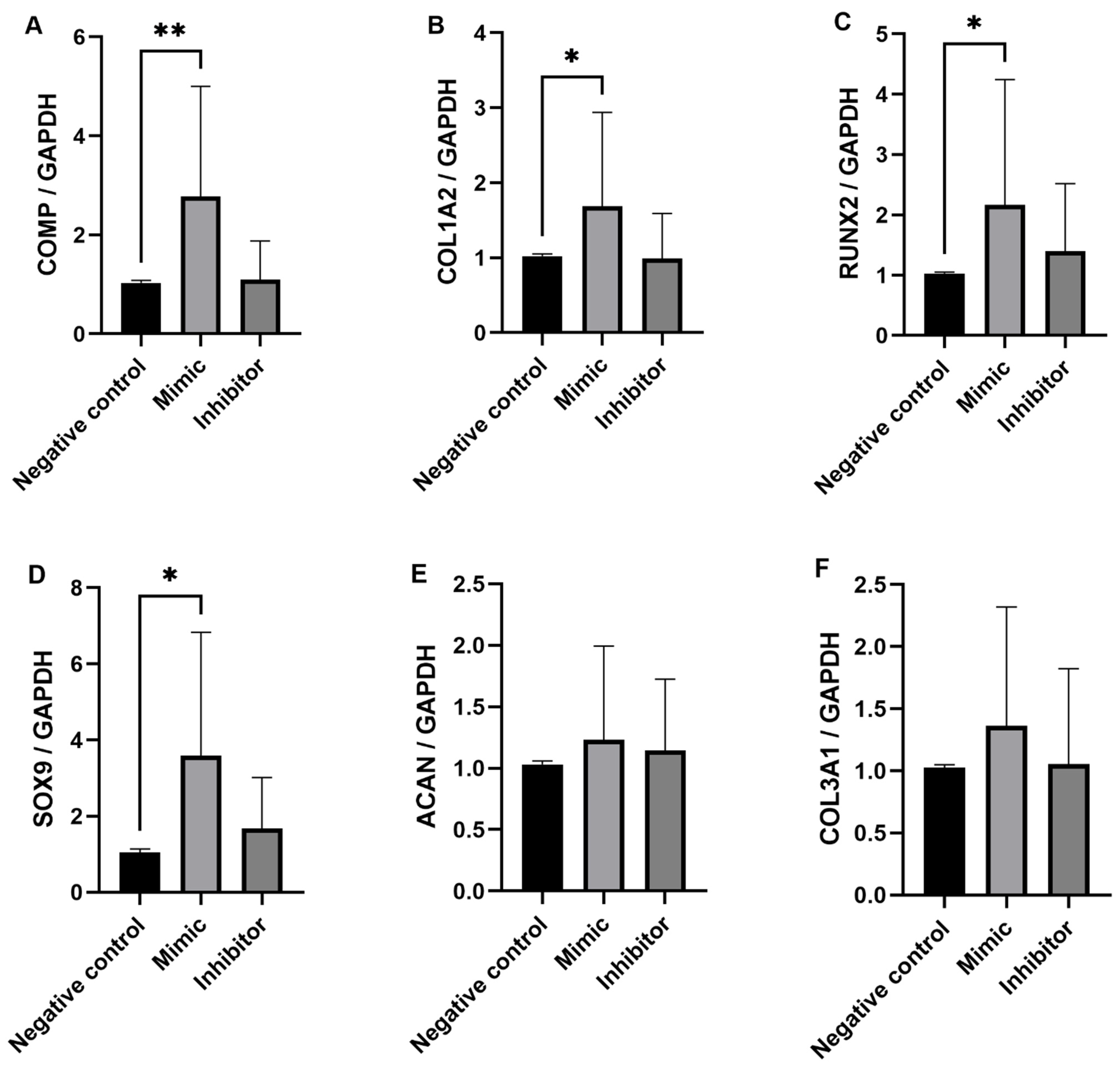 Ijms 23 15526 g005 Ijms 23 15526 g005