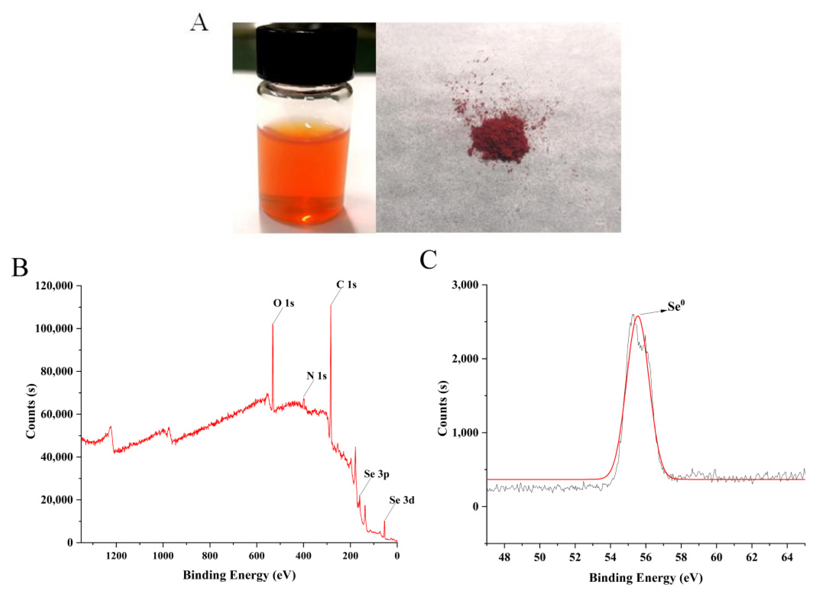 Ijms 23 15527 g001 Ijms 23 15527 g001