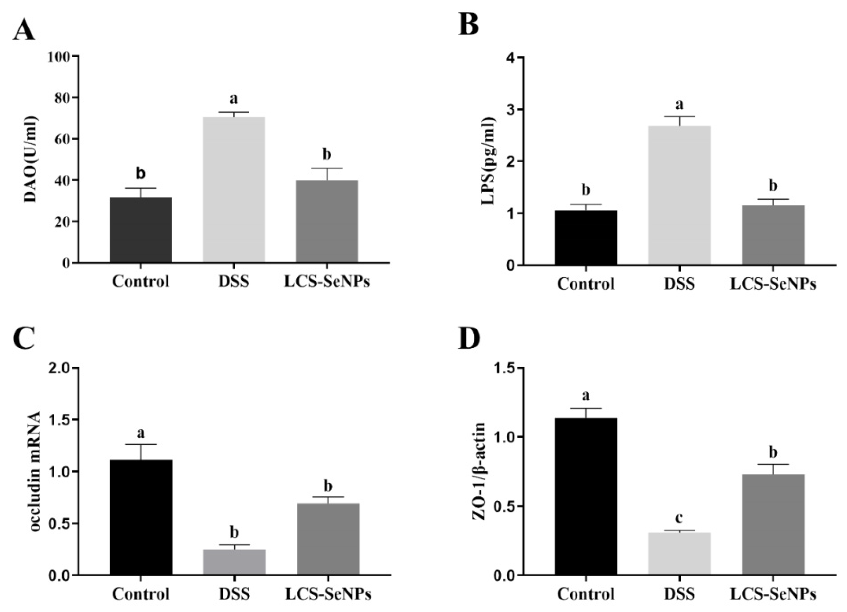 Ijms 23 15527 g005 Ijms 23 15527 g005
