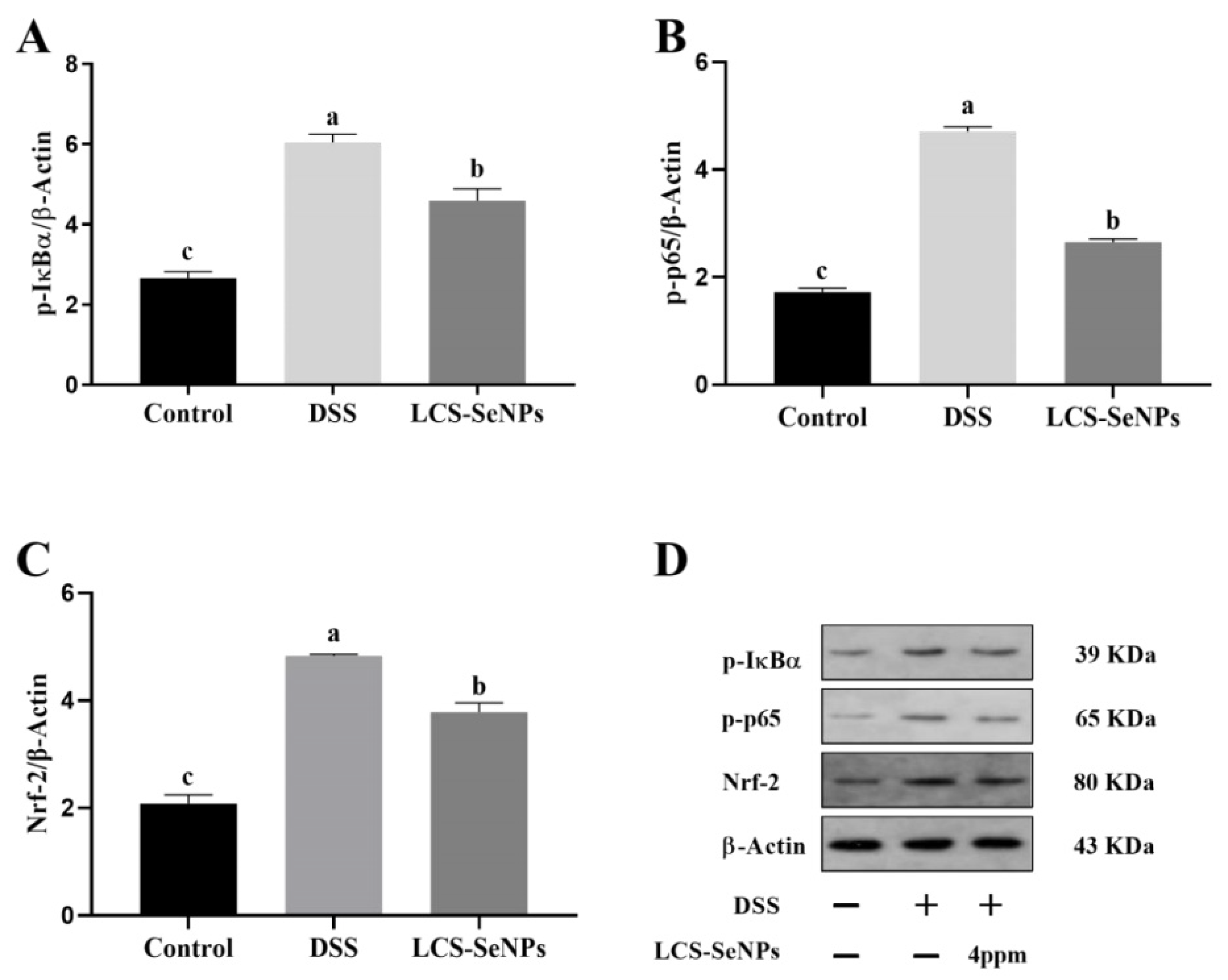 Ijms 23 15527 g007 Ijms 23 15527 g007