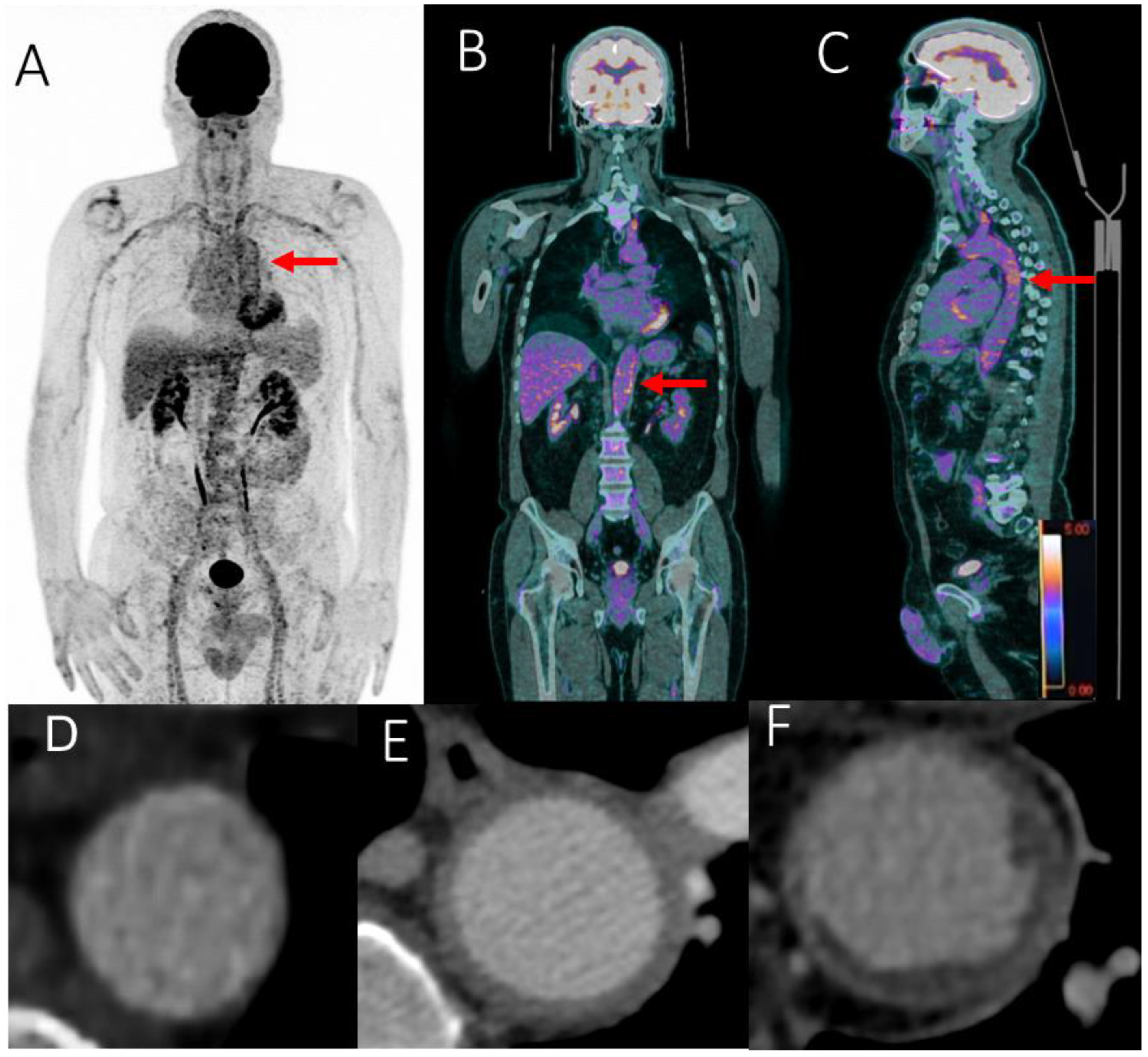 Ijms 23 15528 g003 Ijms 23 15528 g003