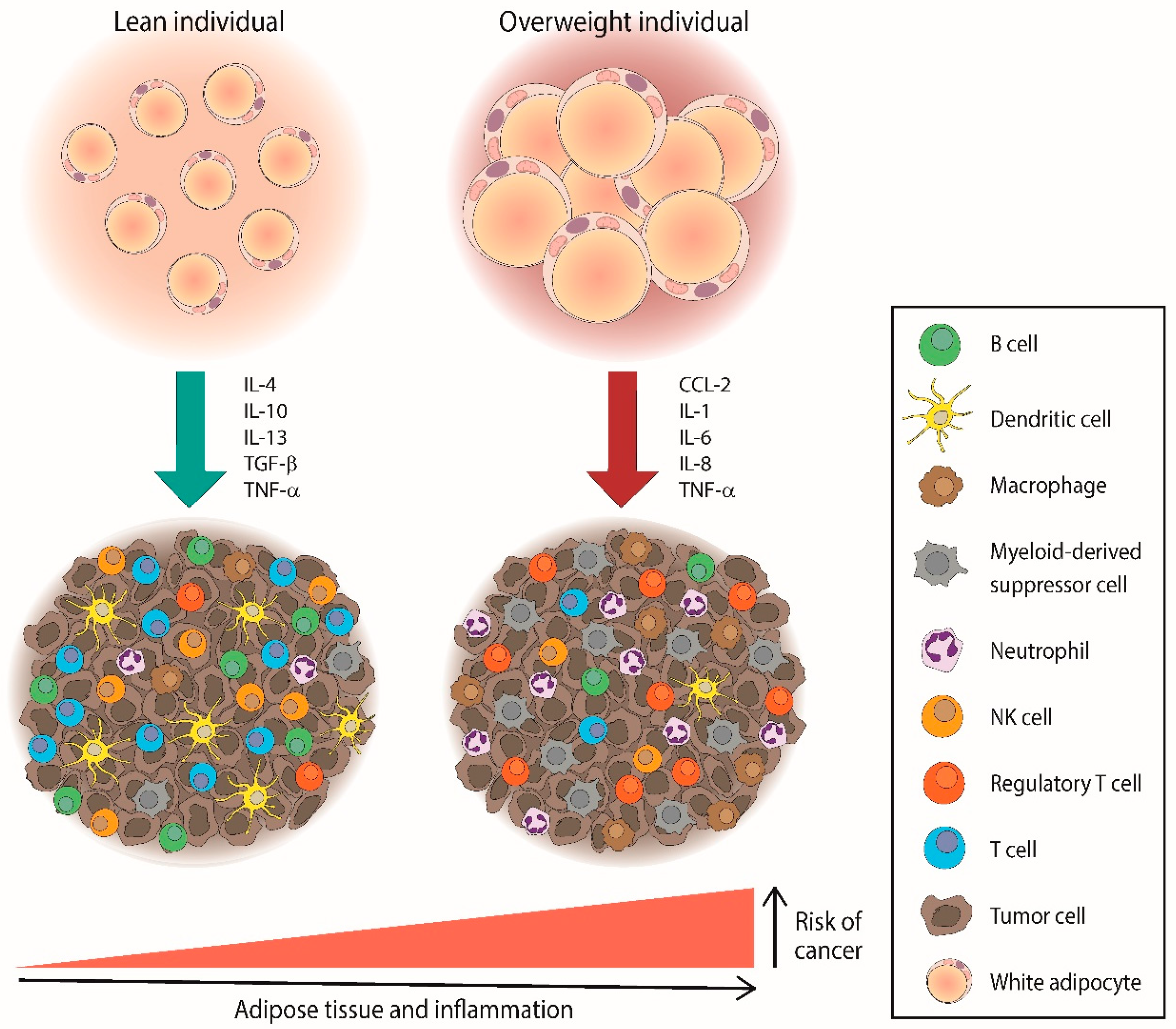 Ijms 23 15530 g001 Ijms 23 15530 g001